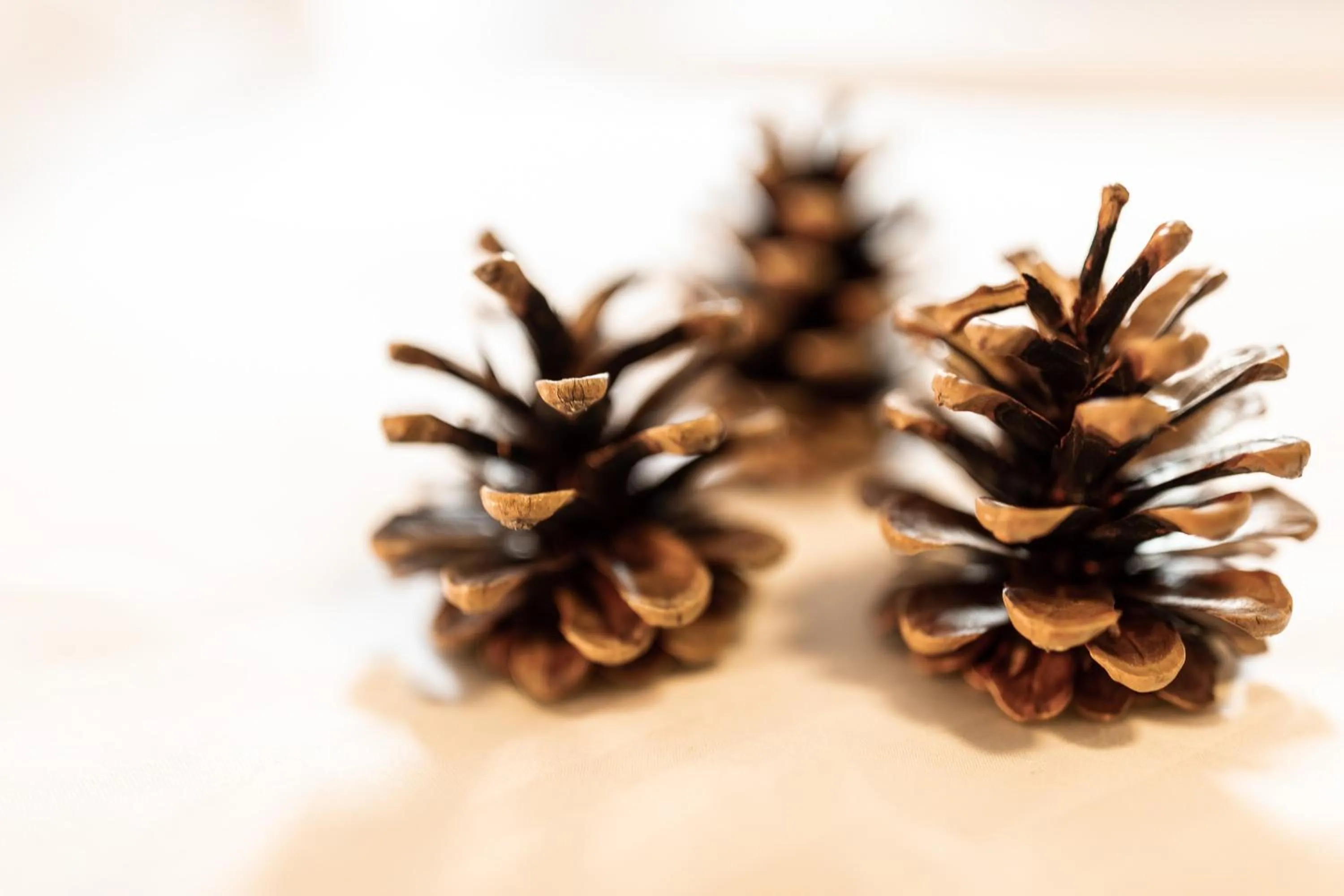 Communal lounge/ TV room in Berghotel zum Zirm