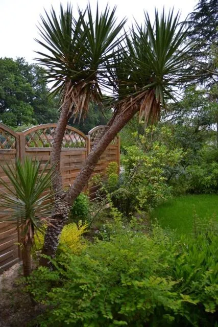 Garden in Le Logis De Saint-Martin