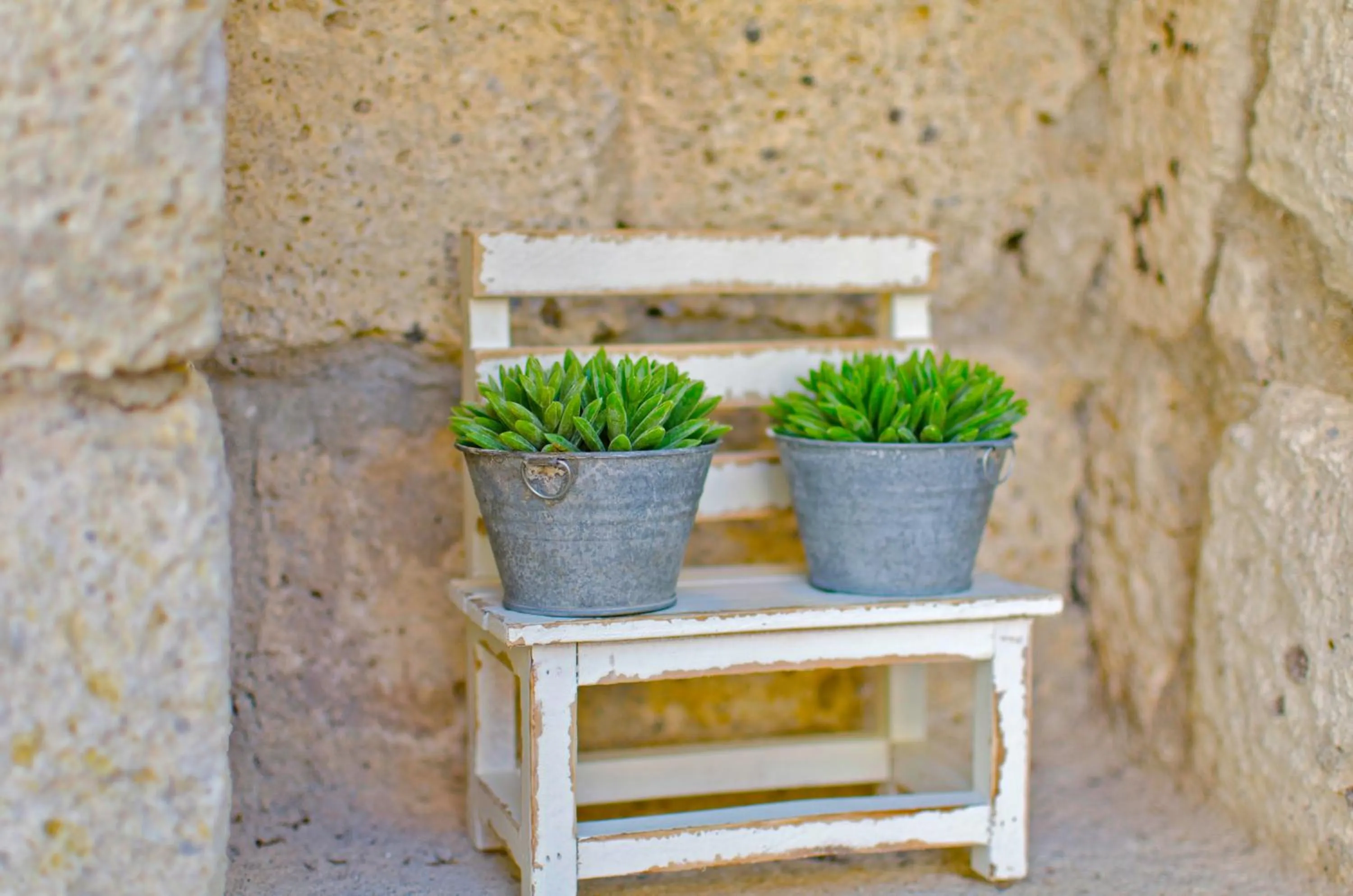 Area and facilities in Lilyum Alaçatı - Taş Ev