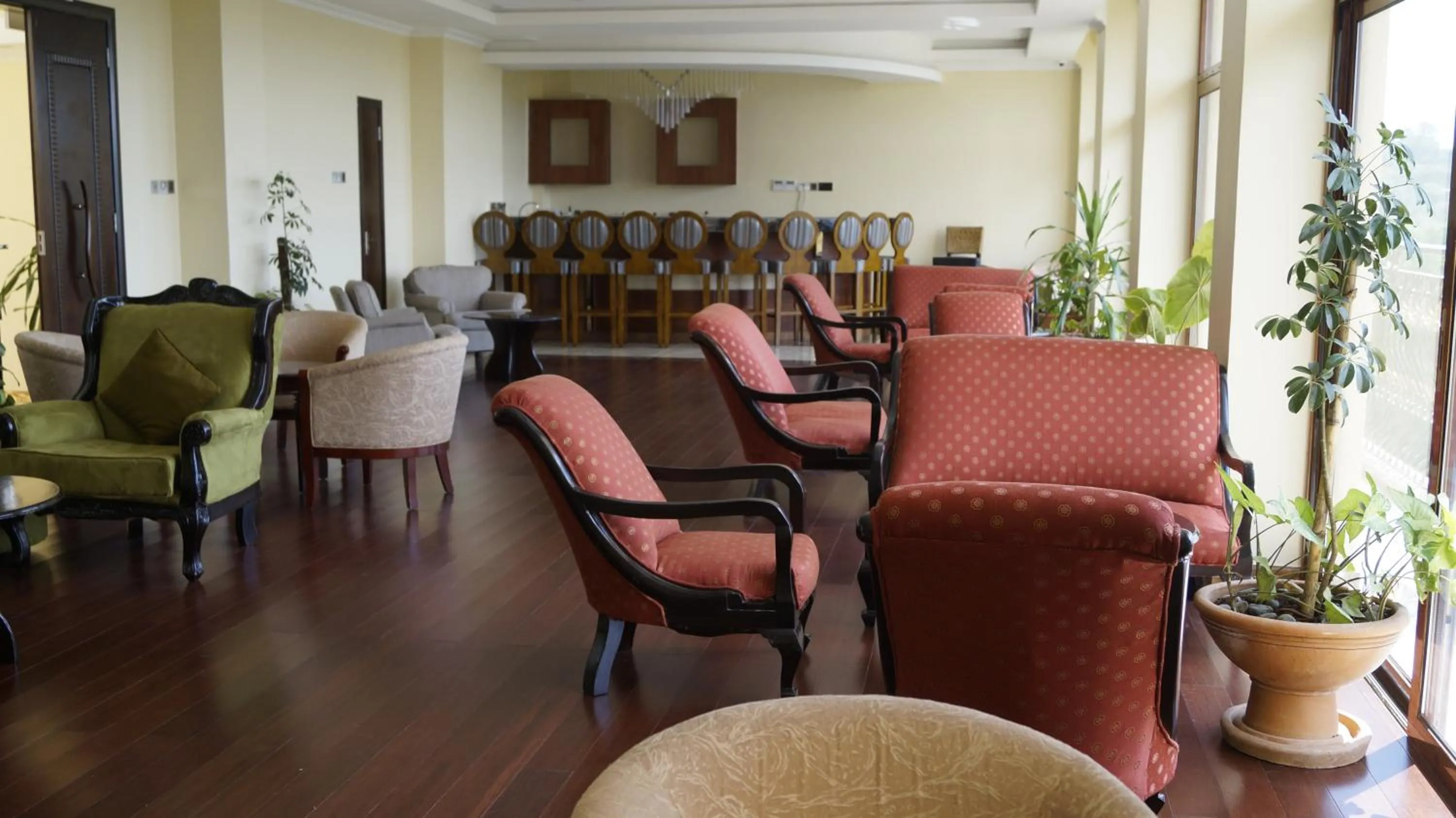 Lounge or bar in The White Rhino Hotel