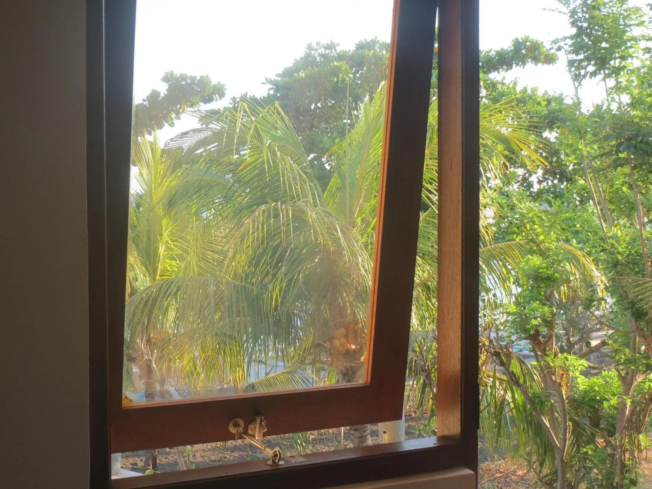 Amed Sari Beach Guesthouse