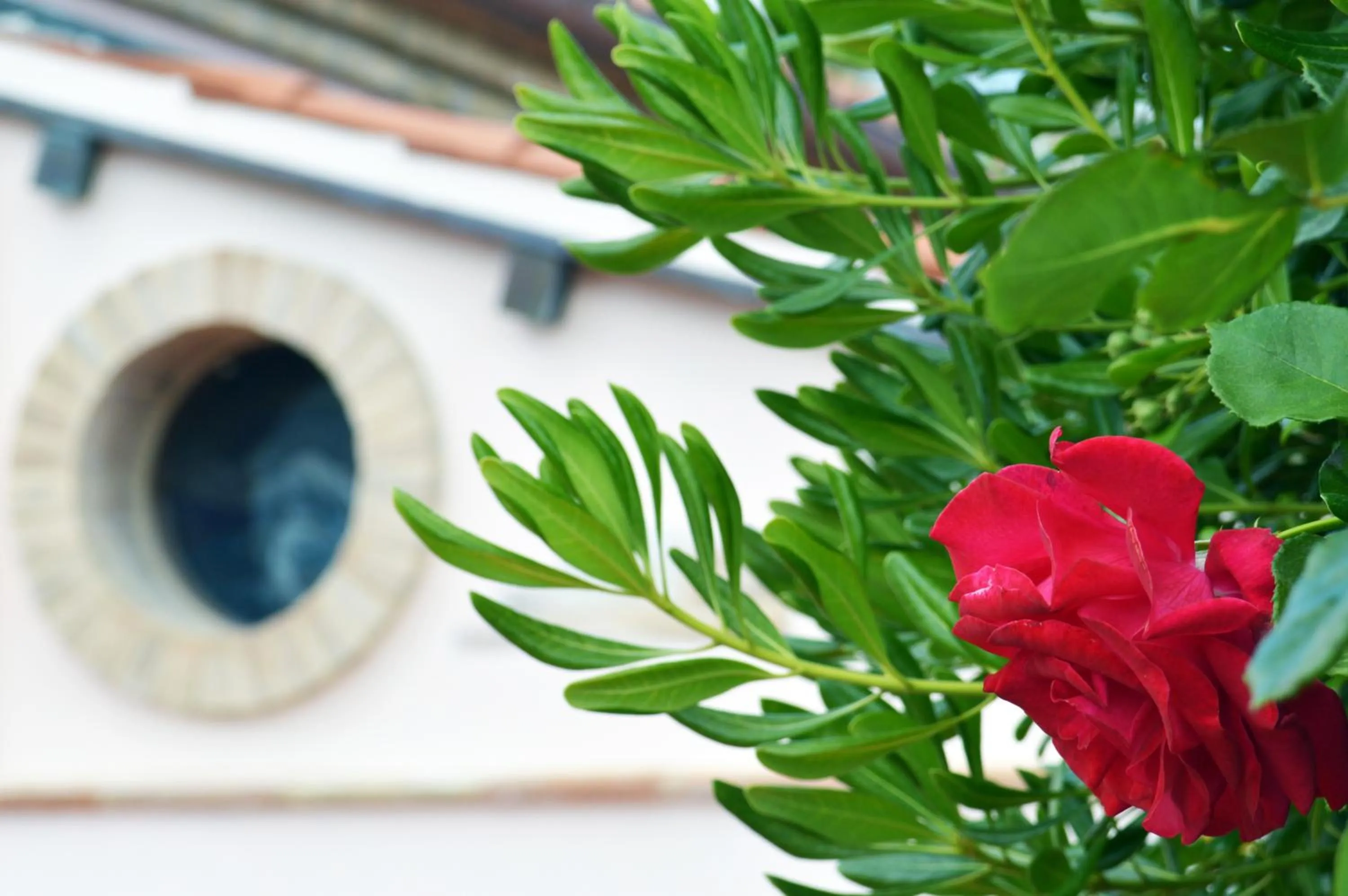 Landmark view in Lido Azzurro