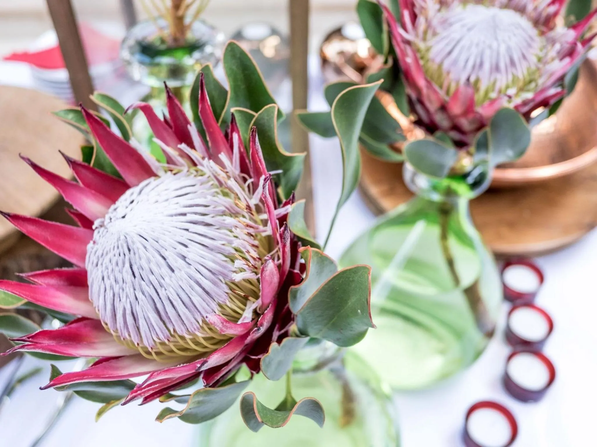 Patio in Kimberley Anne Hotel
