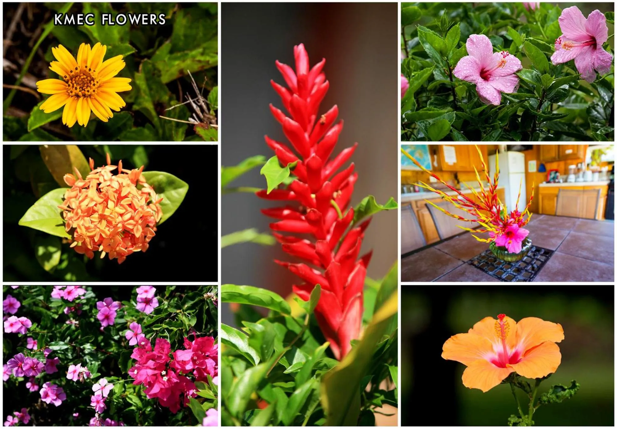 Kirpal Meditation and Ecological Center