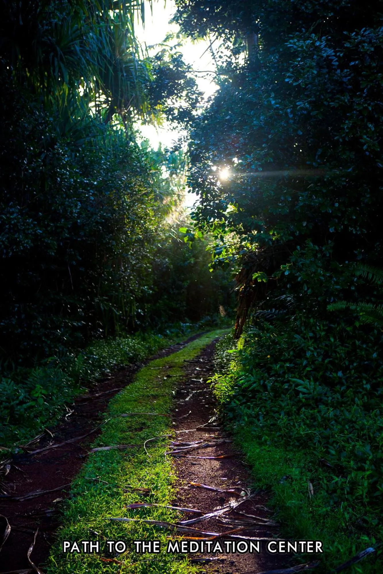 Kirpal Meditation and Ecological Center