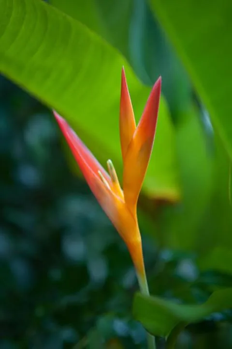 Kirpal Meditation and Ecological Center