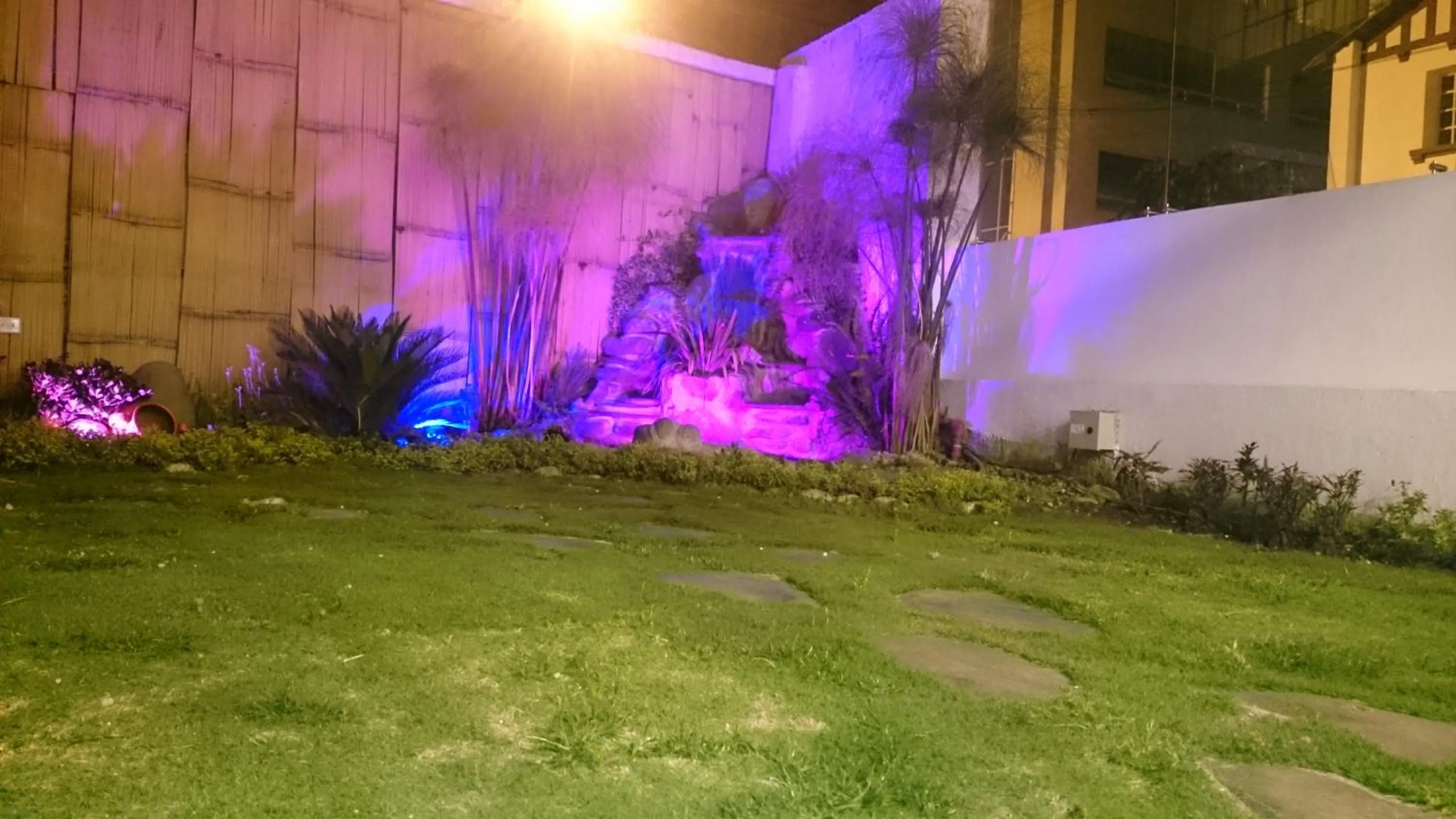 Garden view in Hotel + Arte