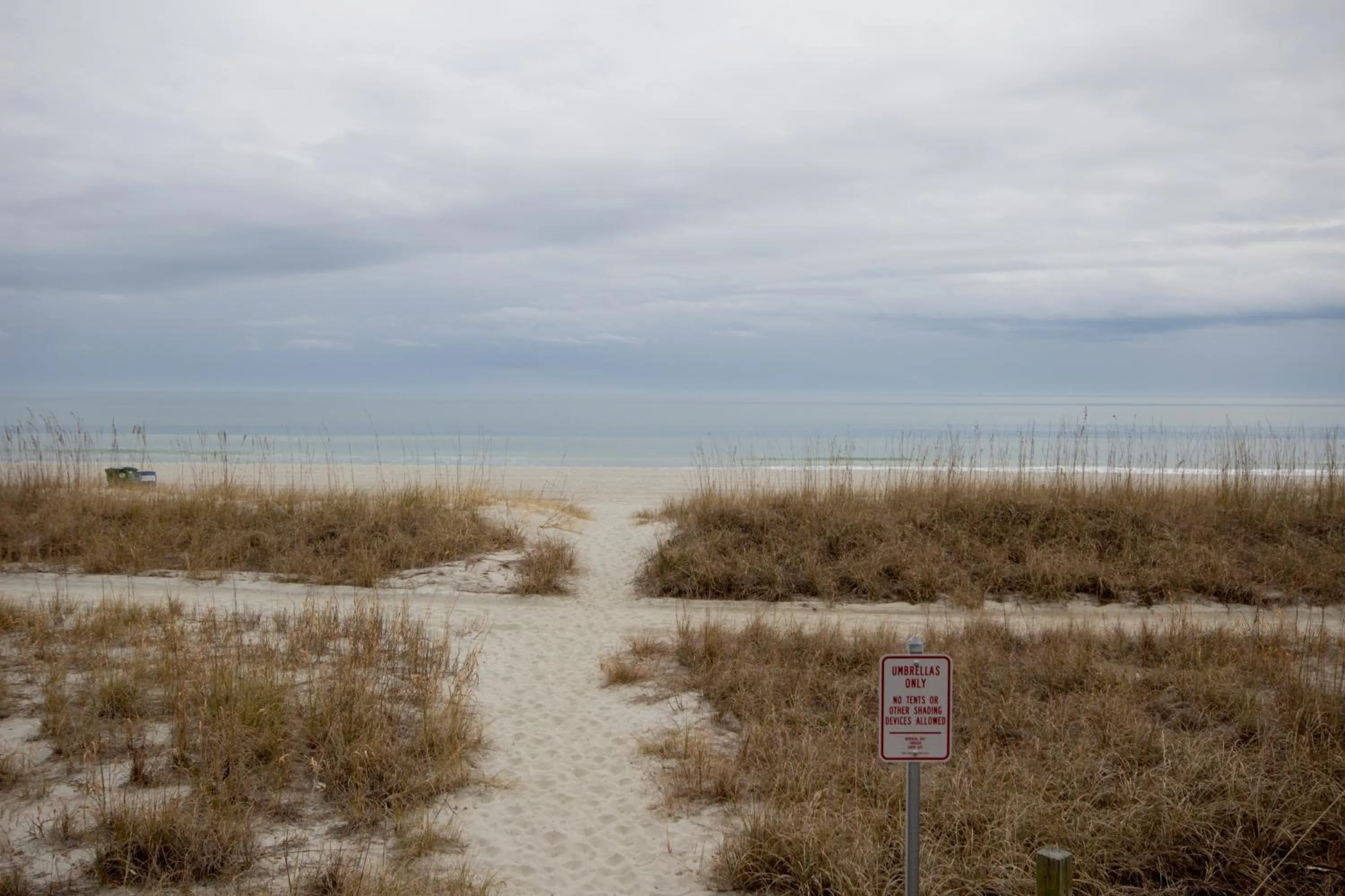 Beach in Oceanfront condo Steps to the beach w No Resort Fees