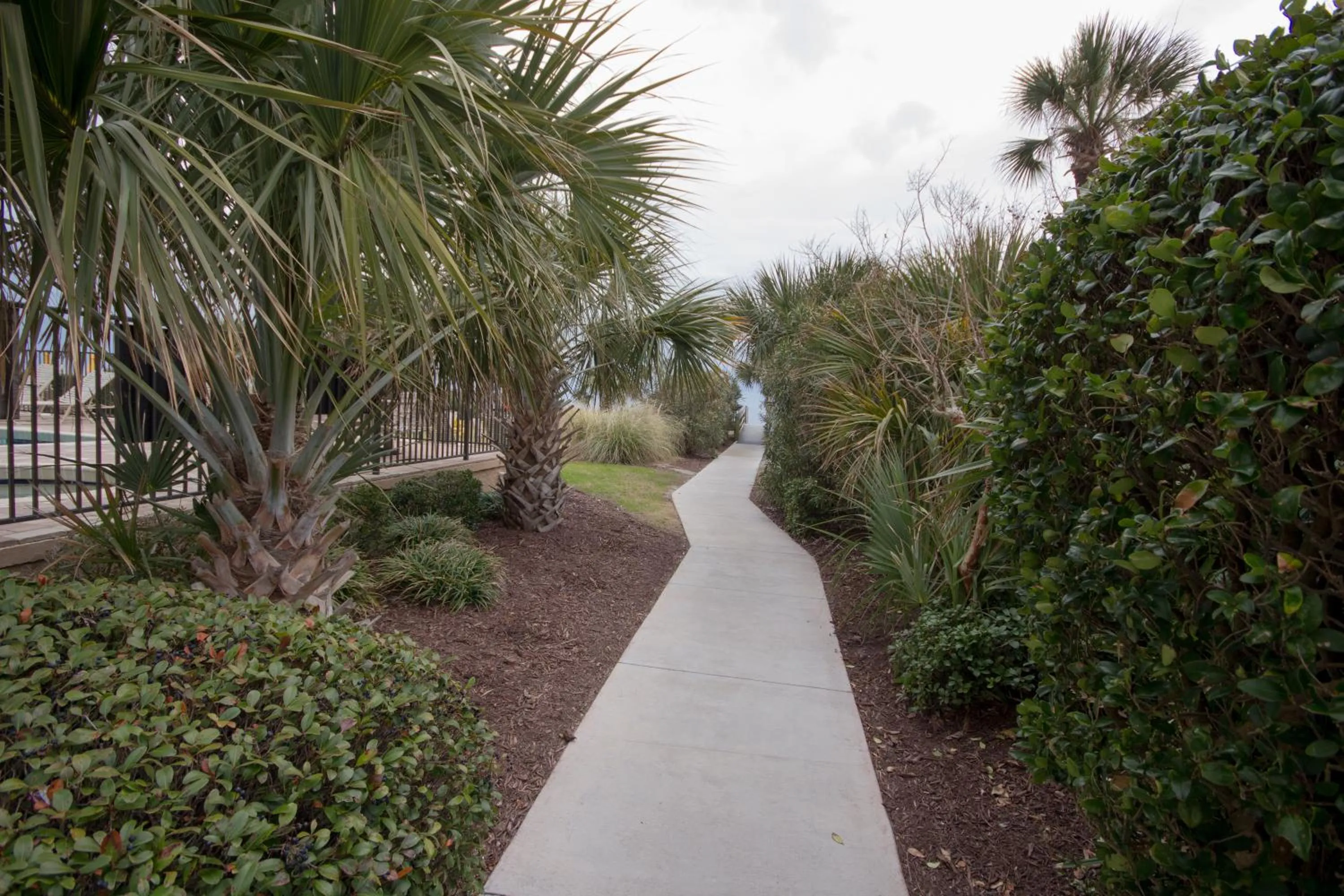 Nearby landmark in Oceanfront condo Steps to the beach w No Resort Fees