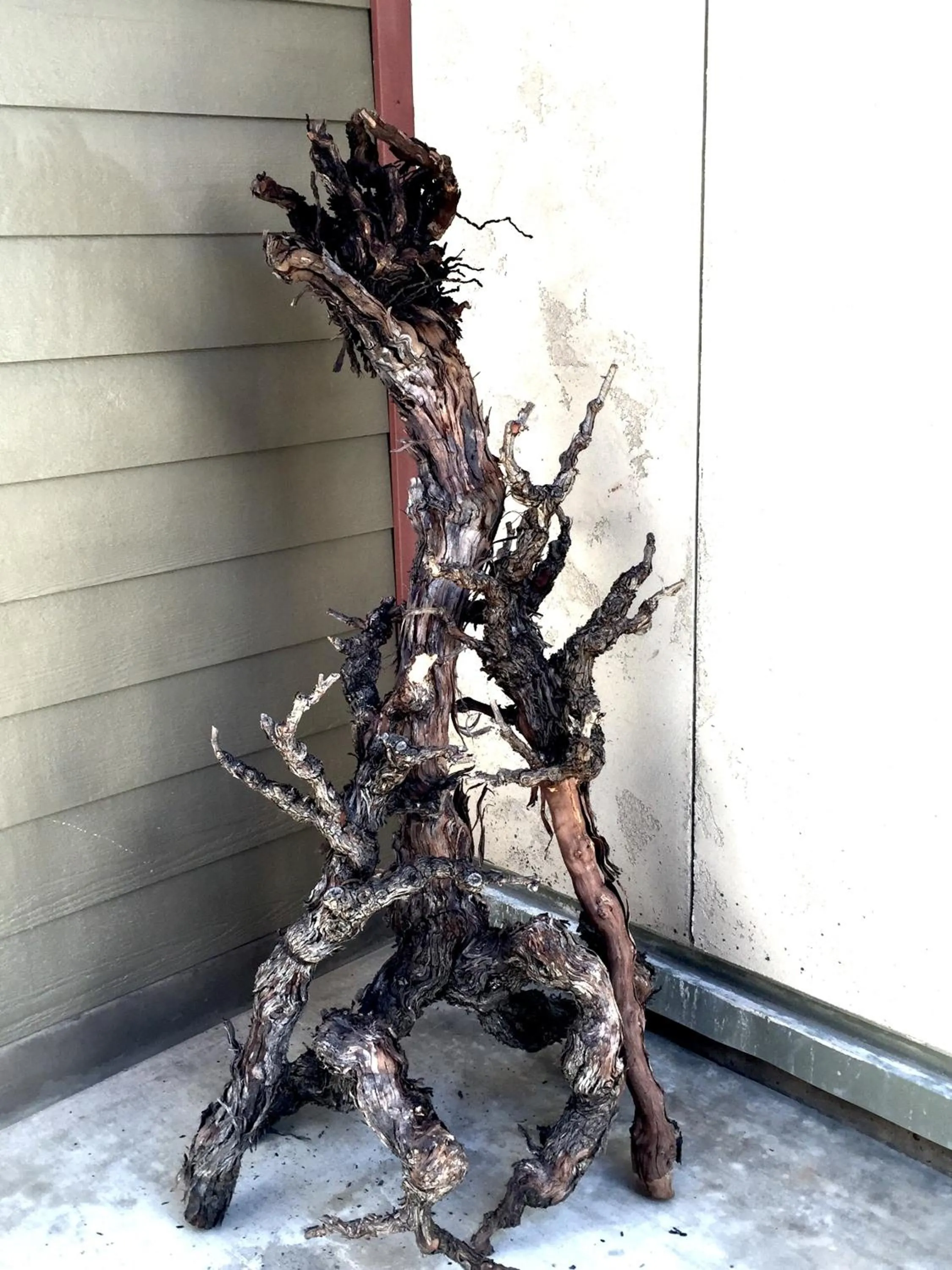 Garden in Rest, a boutique hotel