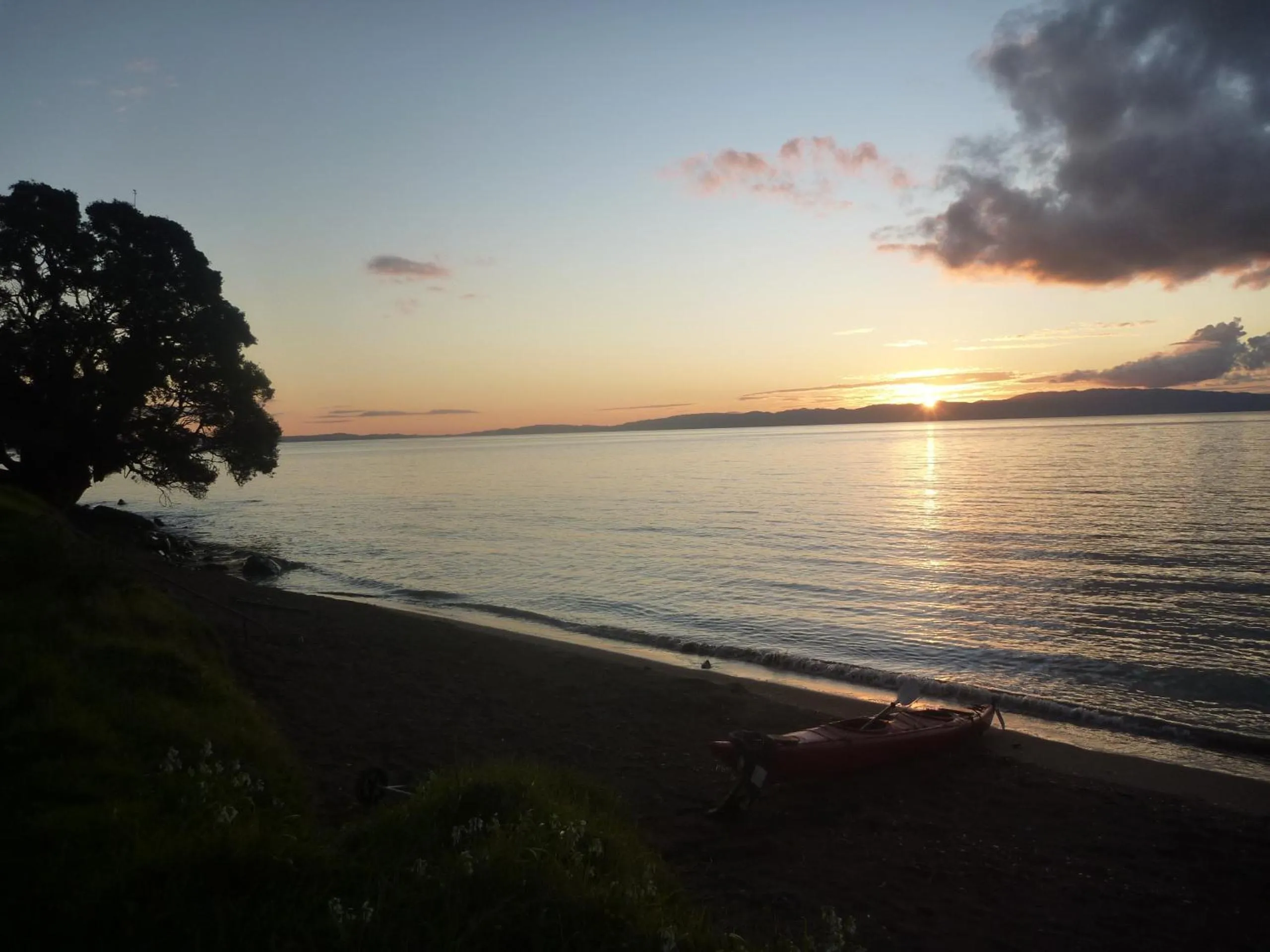 Natural landscape in Pohutukawa Coast BnB