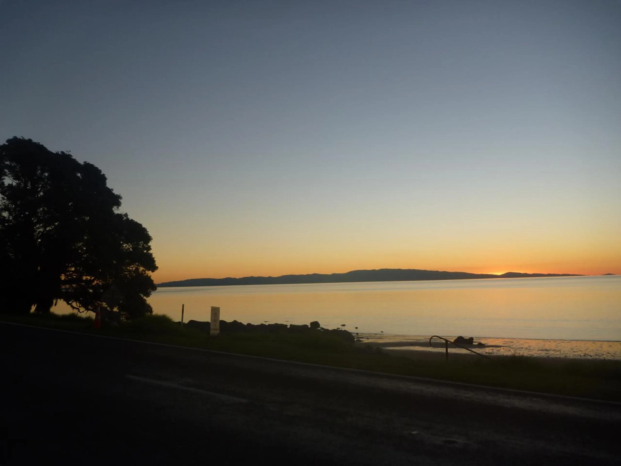Natural landscape in Pohutukawa Coast BnB