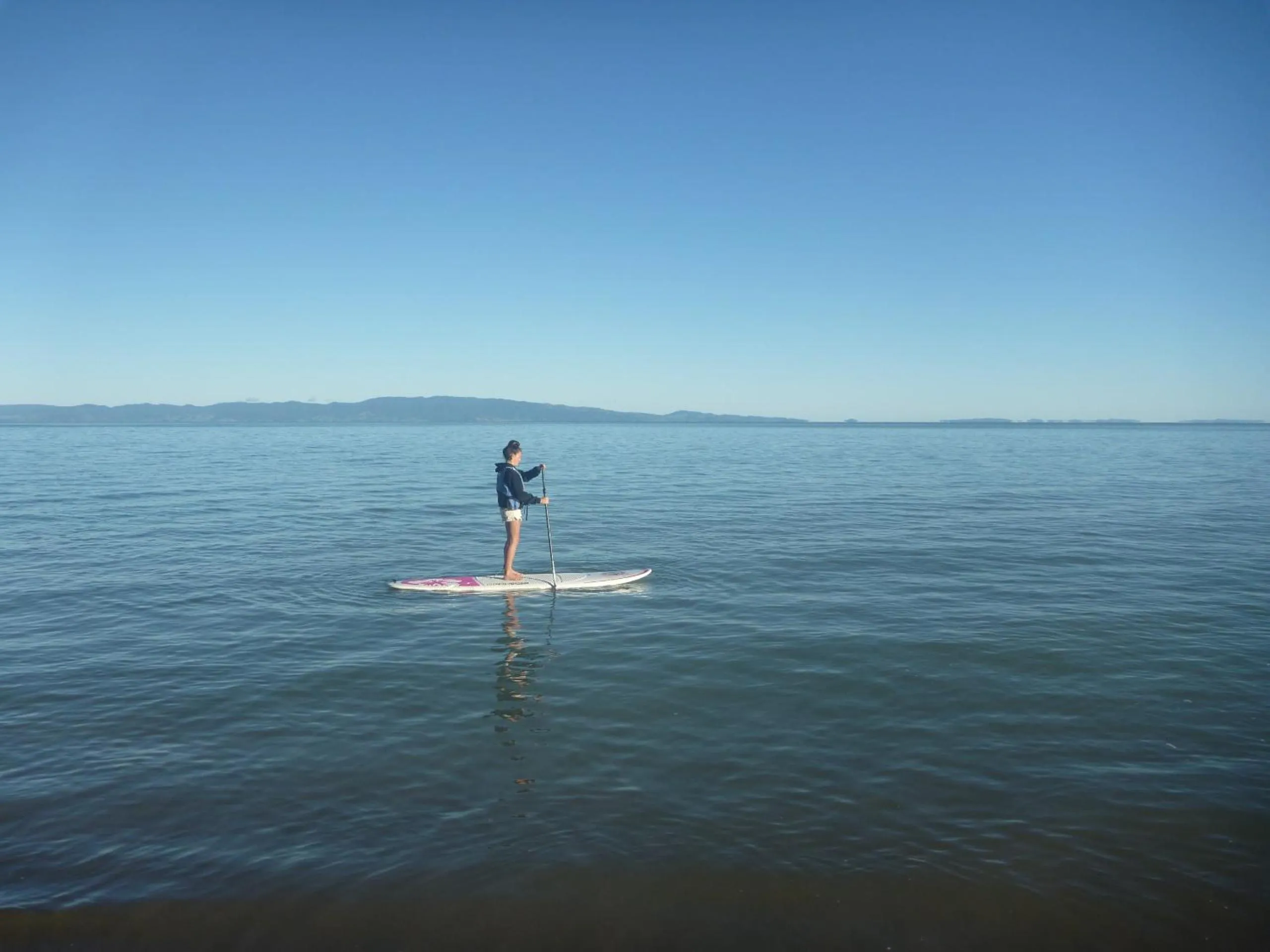 Beach in Pohutukawa Coast BnB