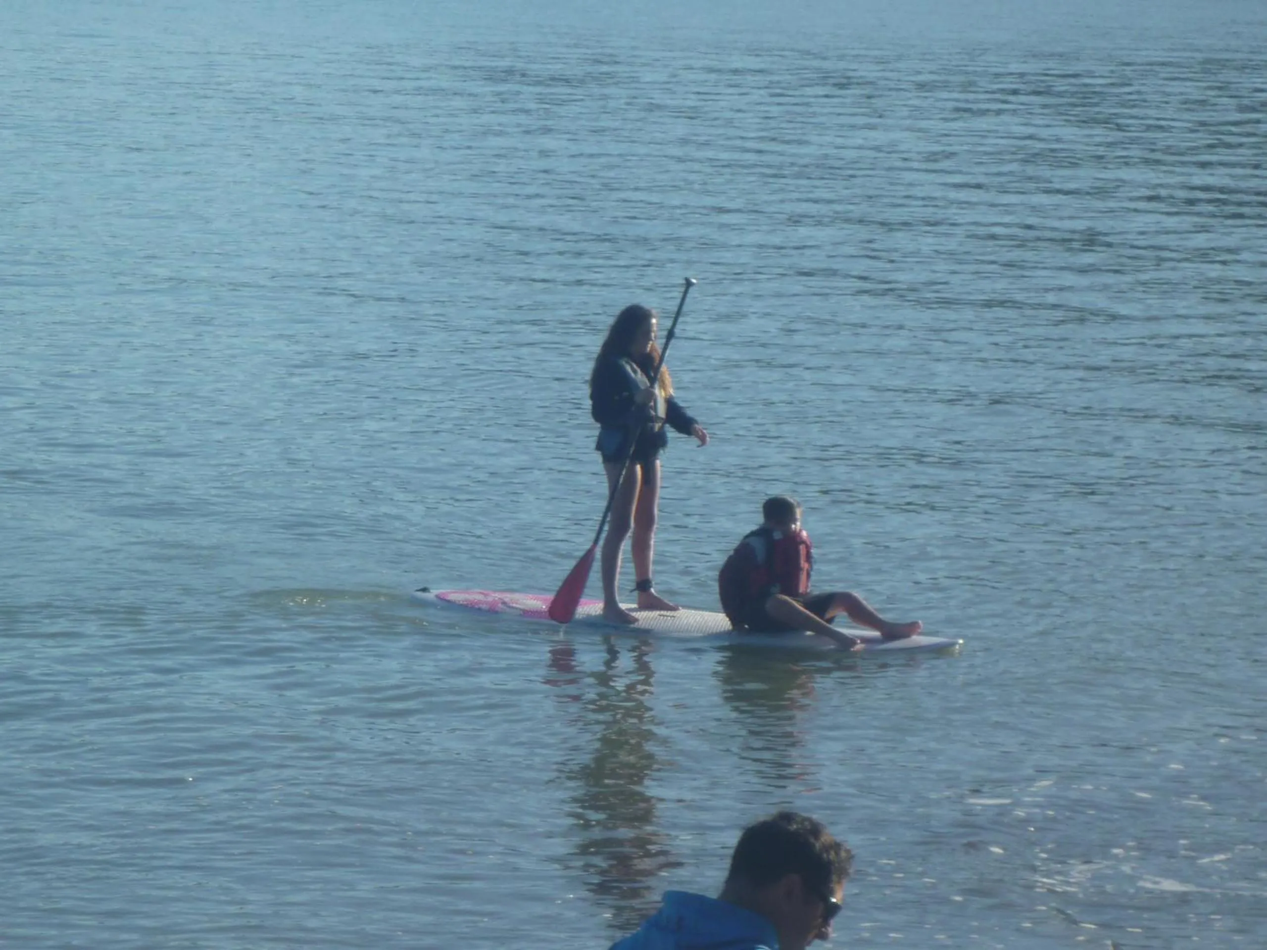 Beach in Pohutukawa Coast BnB