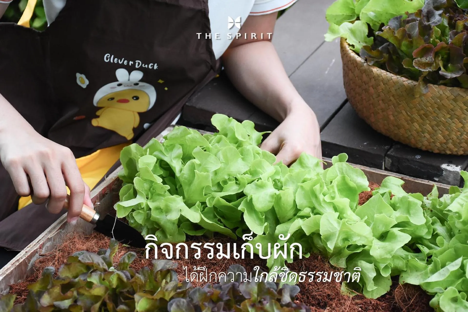 The Spirit Resort Hua Hin