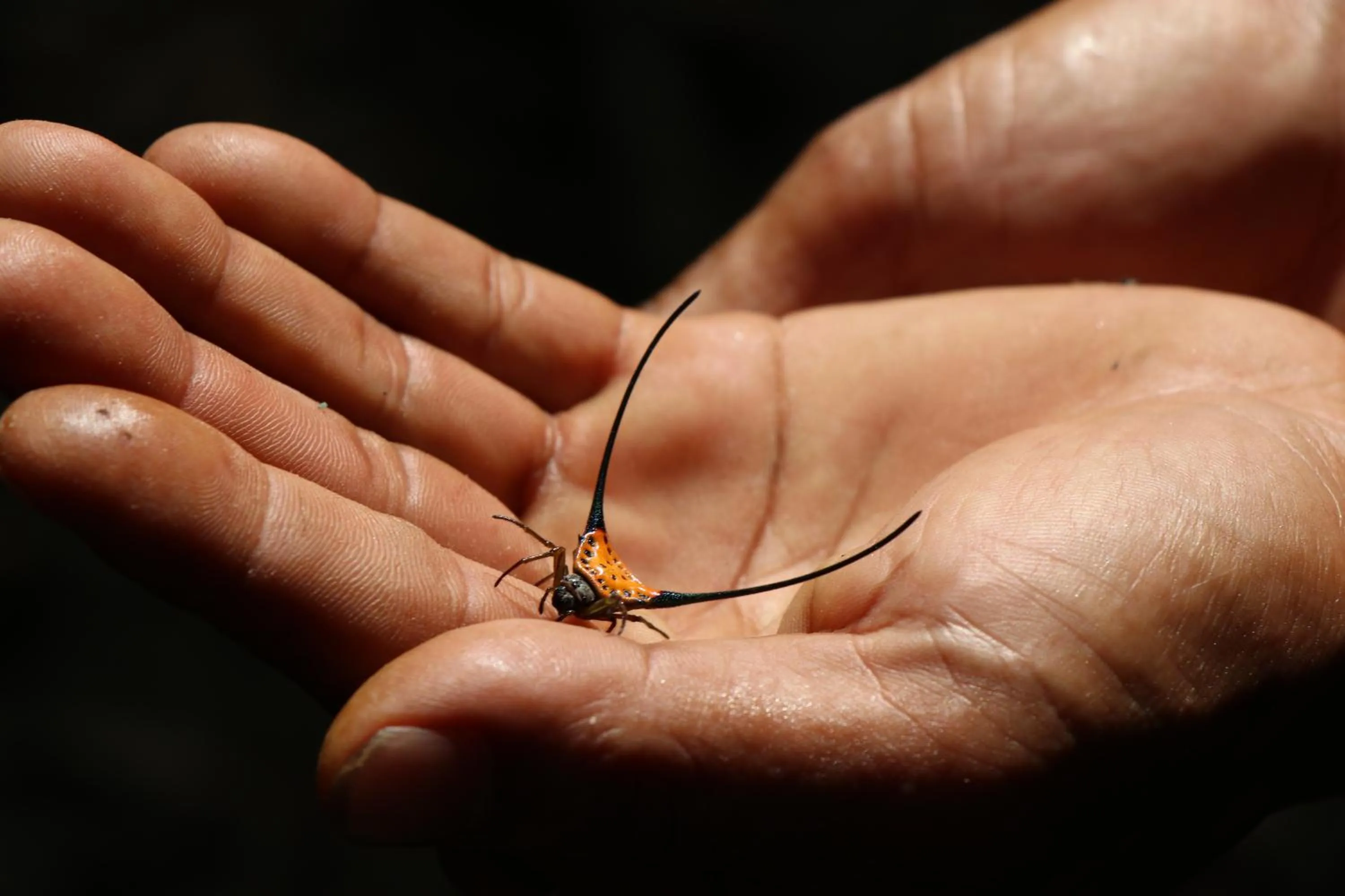 Other in Anurak Community Lodge - SHA Plus