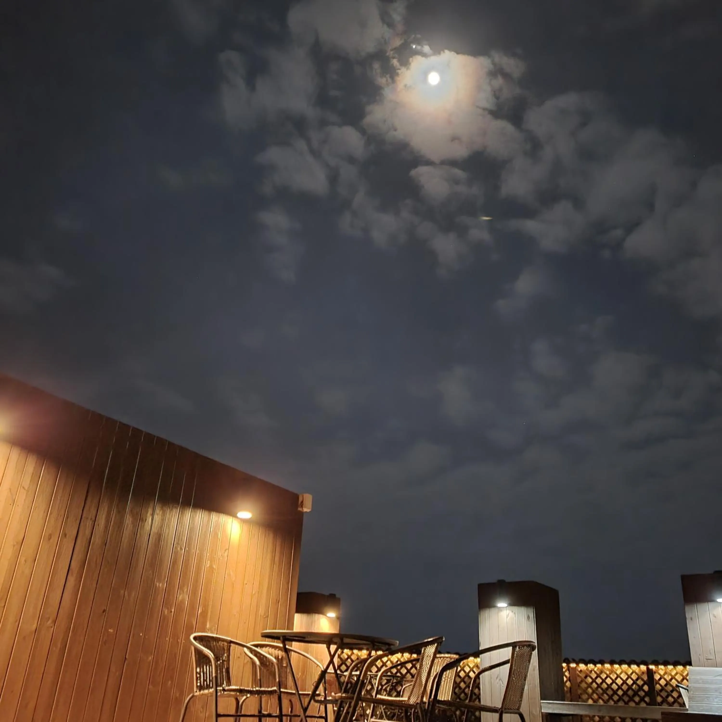 View (from property/room) in Hotel Rest Seogwipo