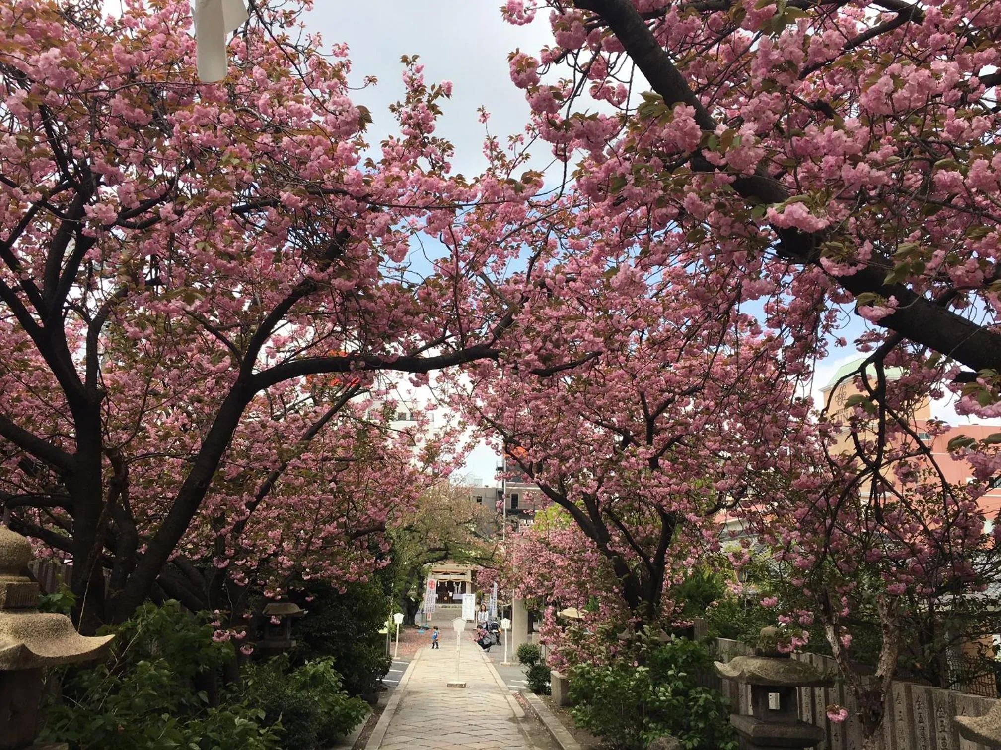 Nearby landmark in noah grande