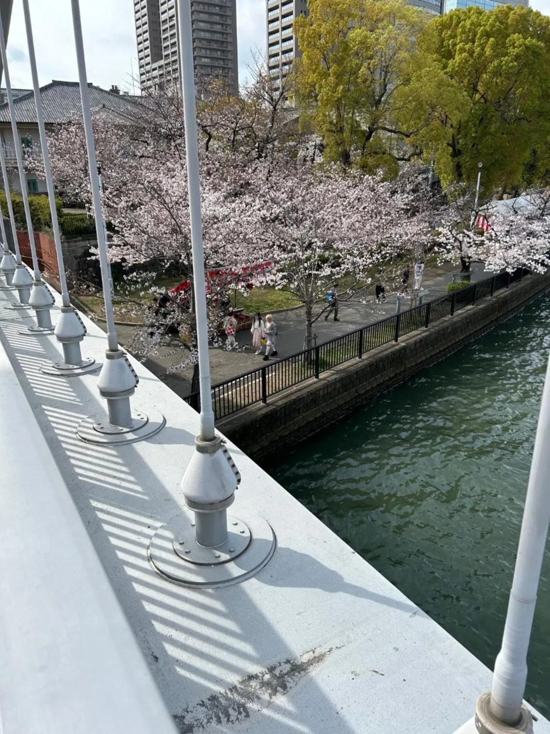 Spring in noah grande