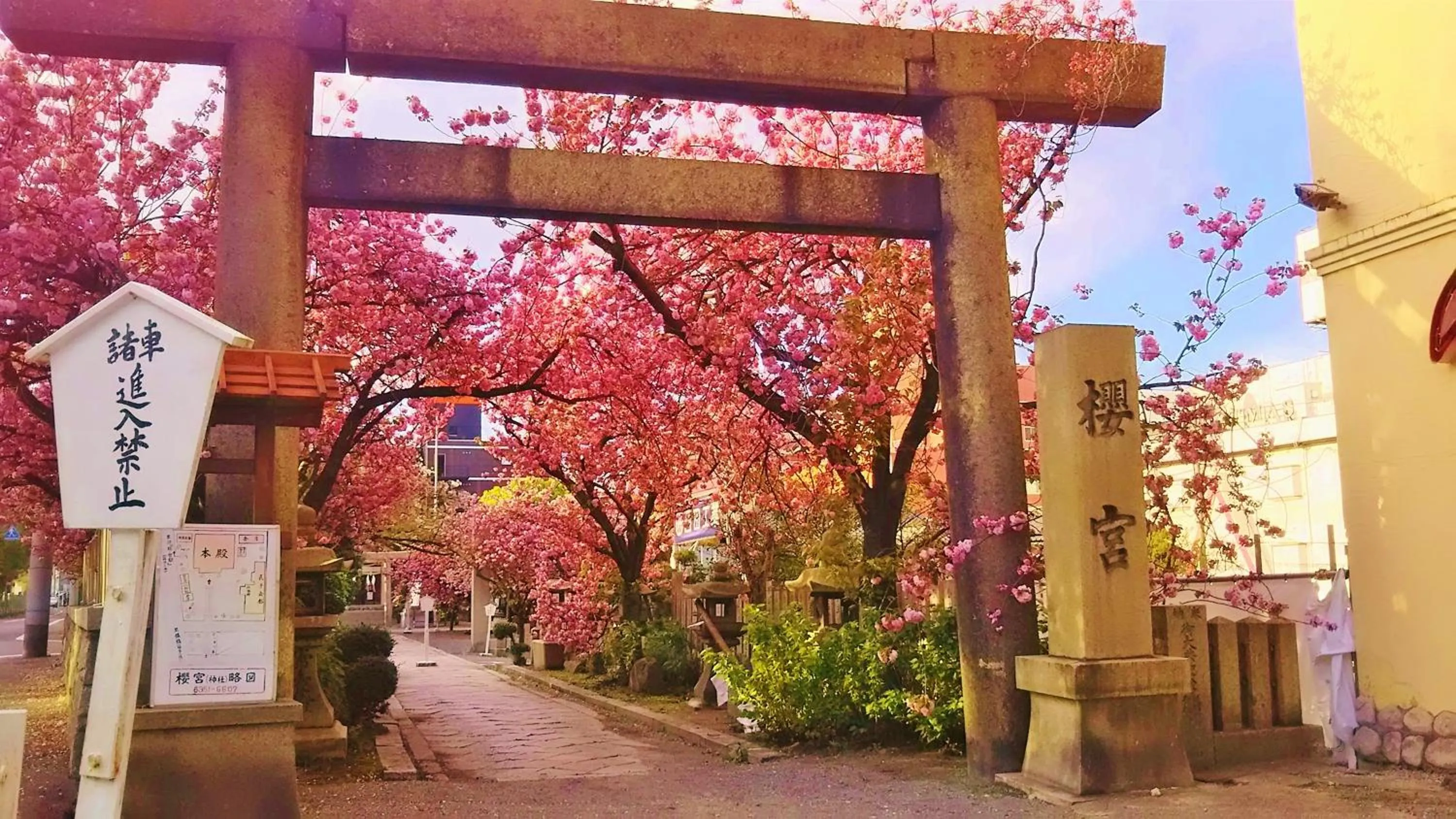 Nearby landmark in noah grande