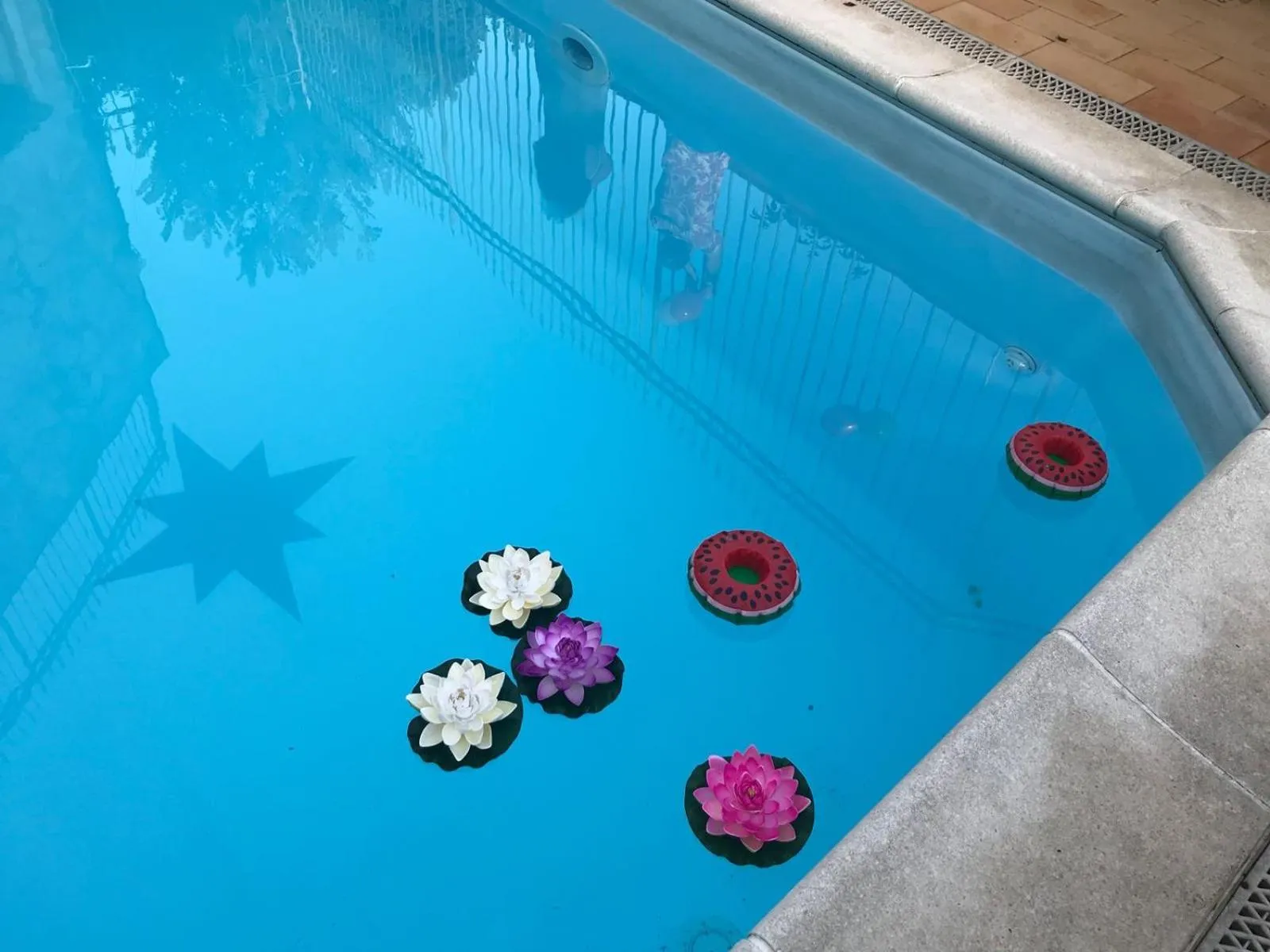 I Giardini di Capodimonte 2