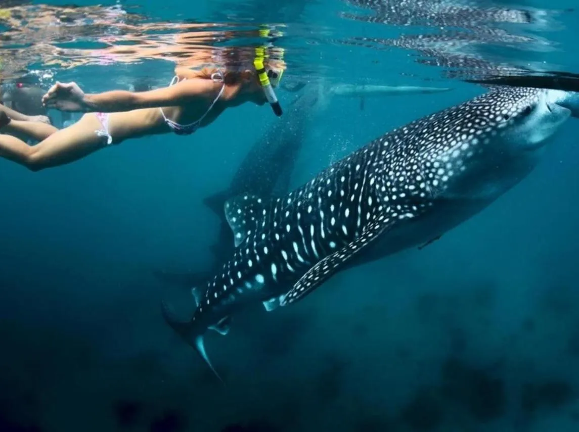 Activities in Villa Umi Panglao Resort