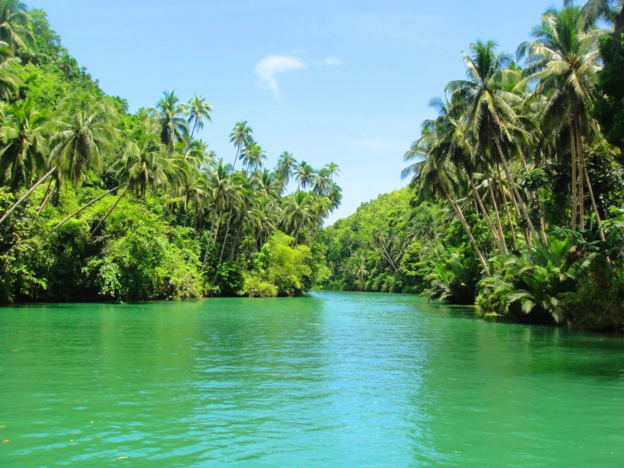 Activities in Villa Umi Panglao Resort