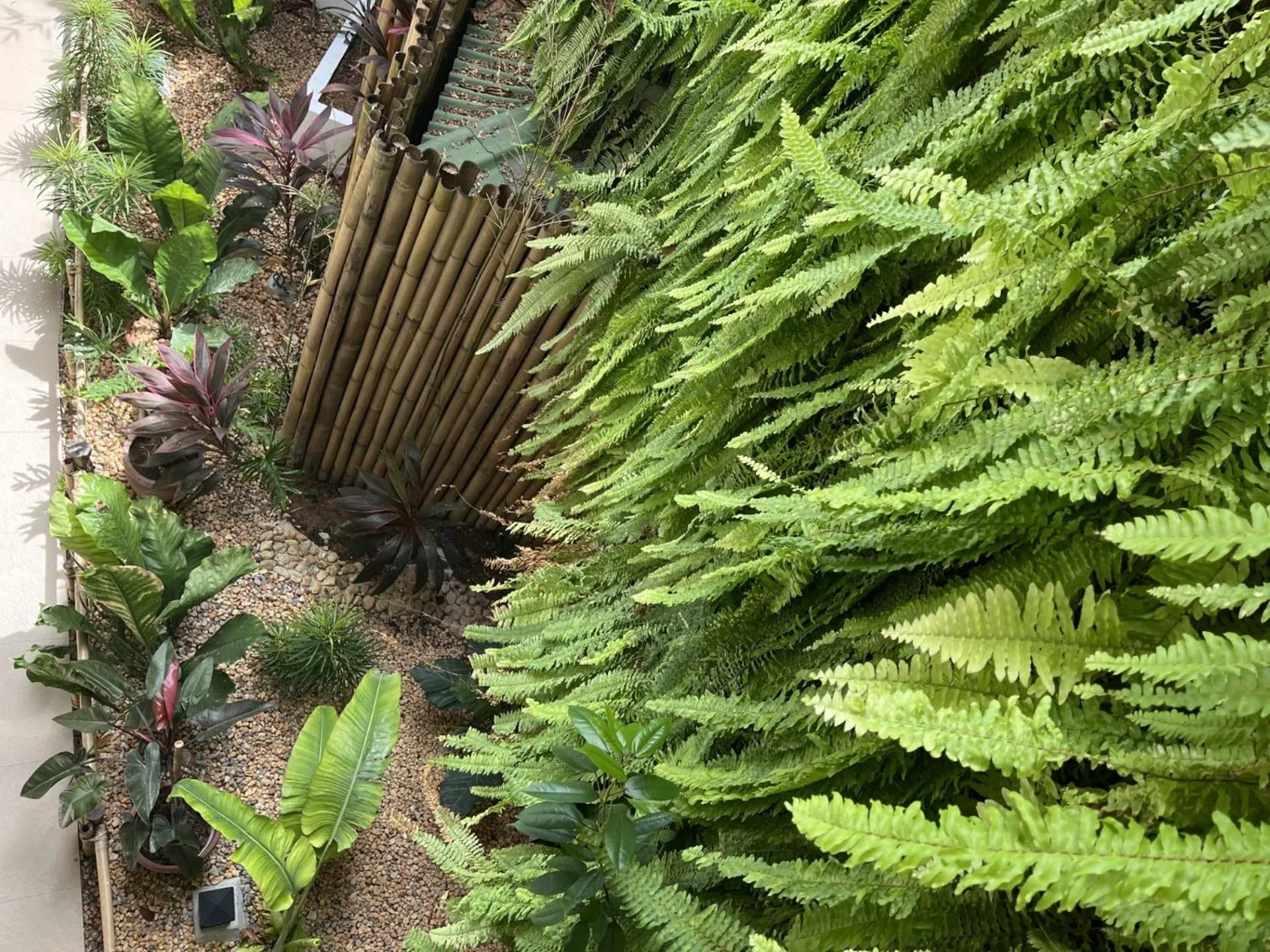 Garden in Villa Umi Panglao Resort