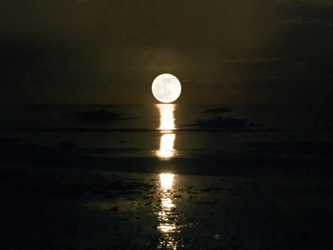 Night in Villa Umi Panglao Resort