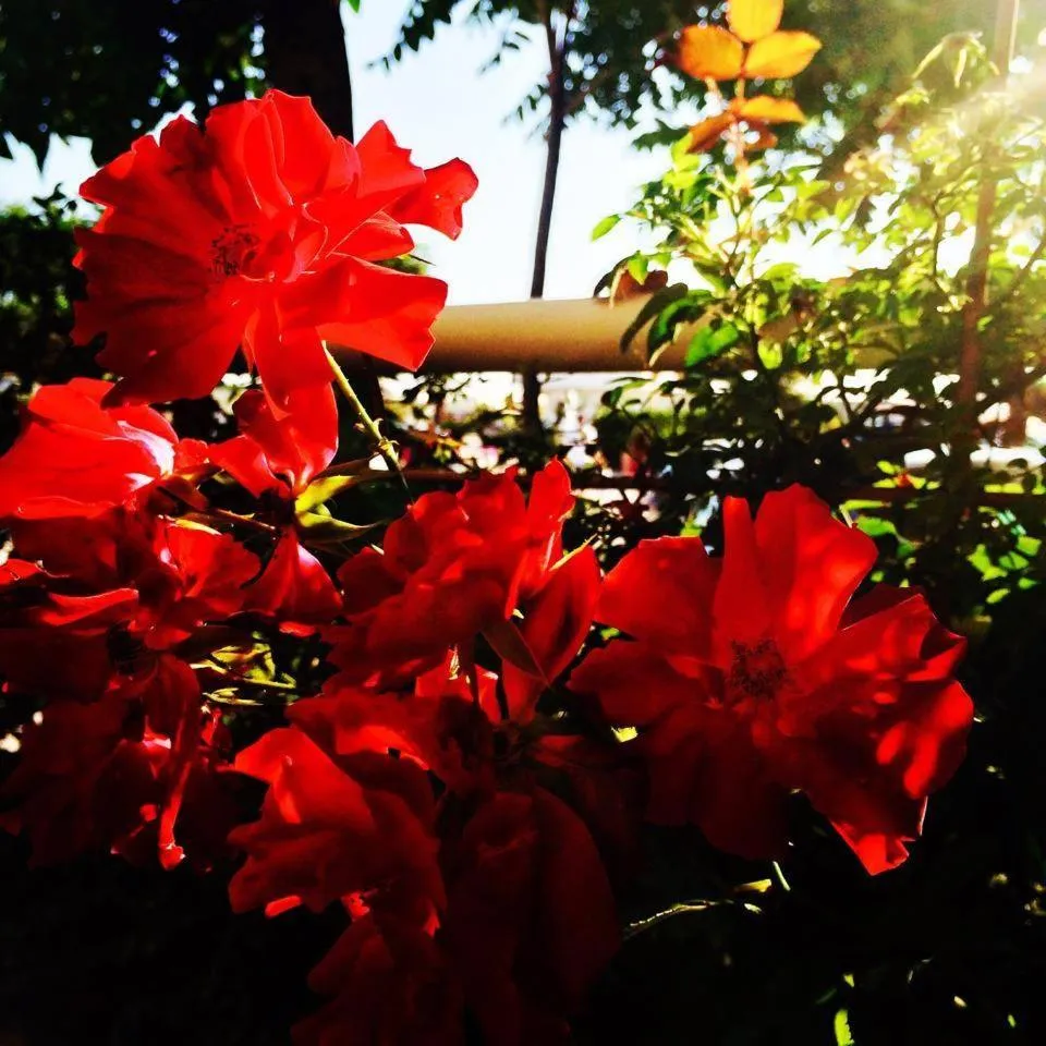 Decorative detail in Hotel Lady Mary