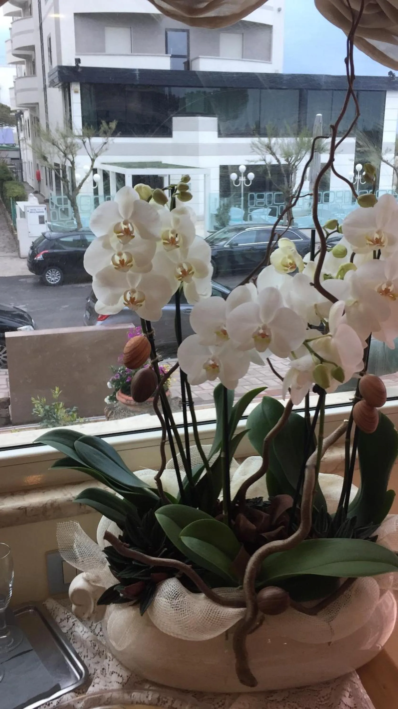 Day in Hotel Lady Mary