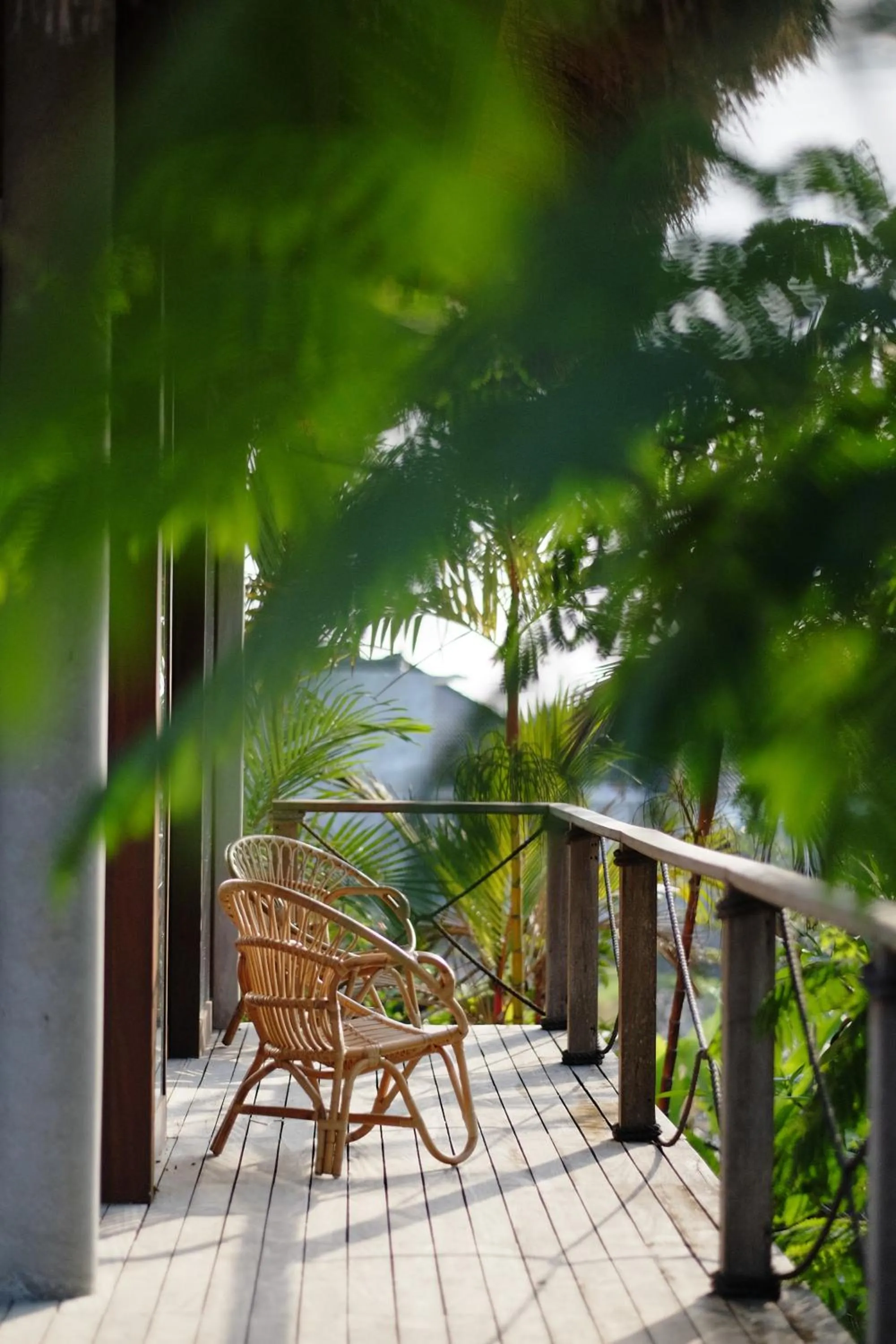 Balcony/Terrace in Planta Boutique Resort