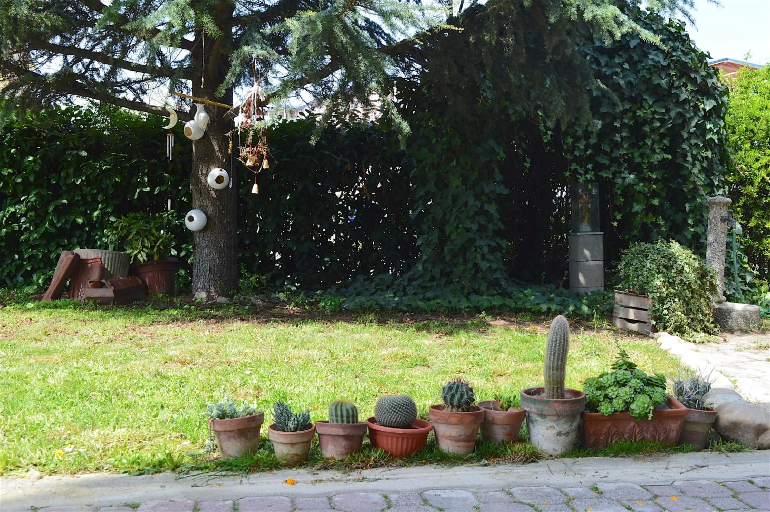 Garden in Il Nottetempo