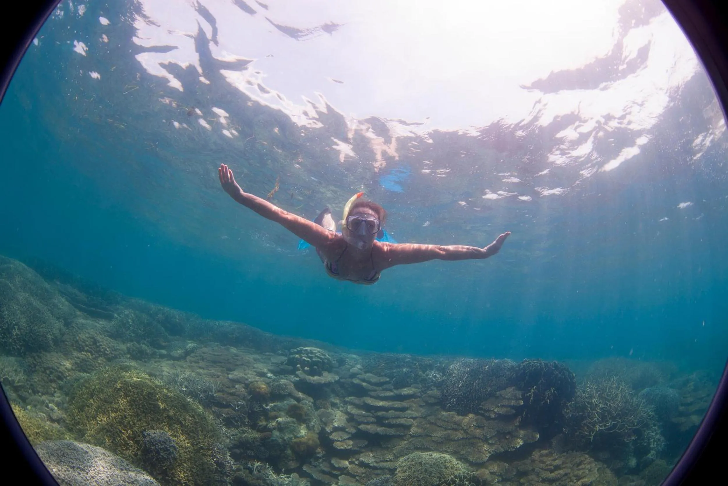 Activities in Chumbe Island Coral Park