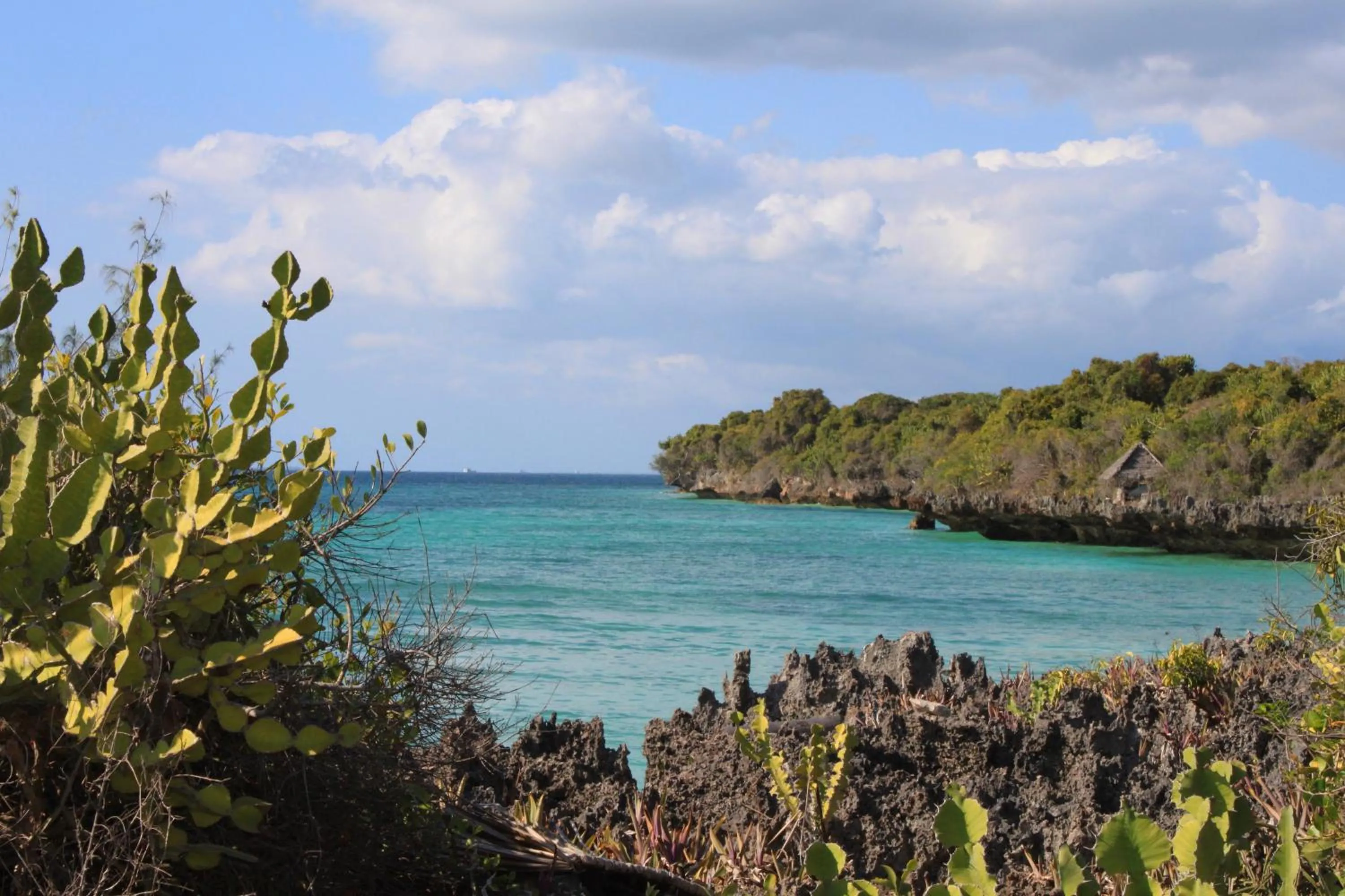 Day in Chumbe Island Coral Park