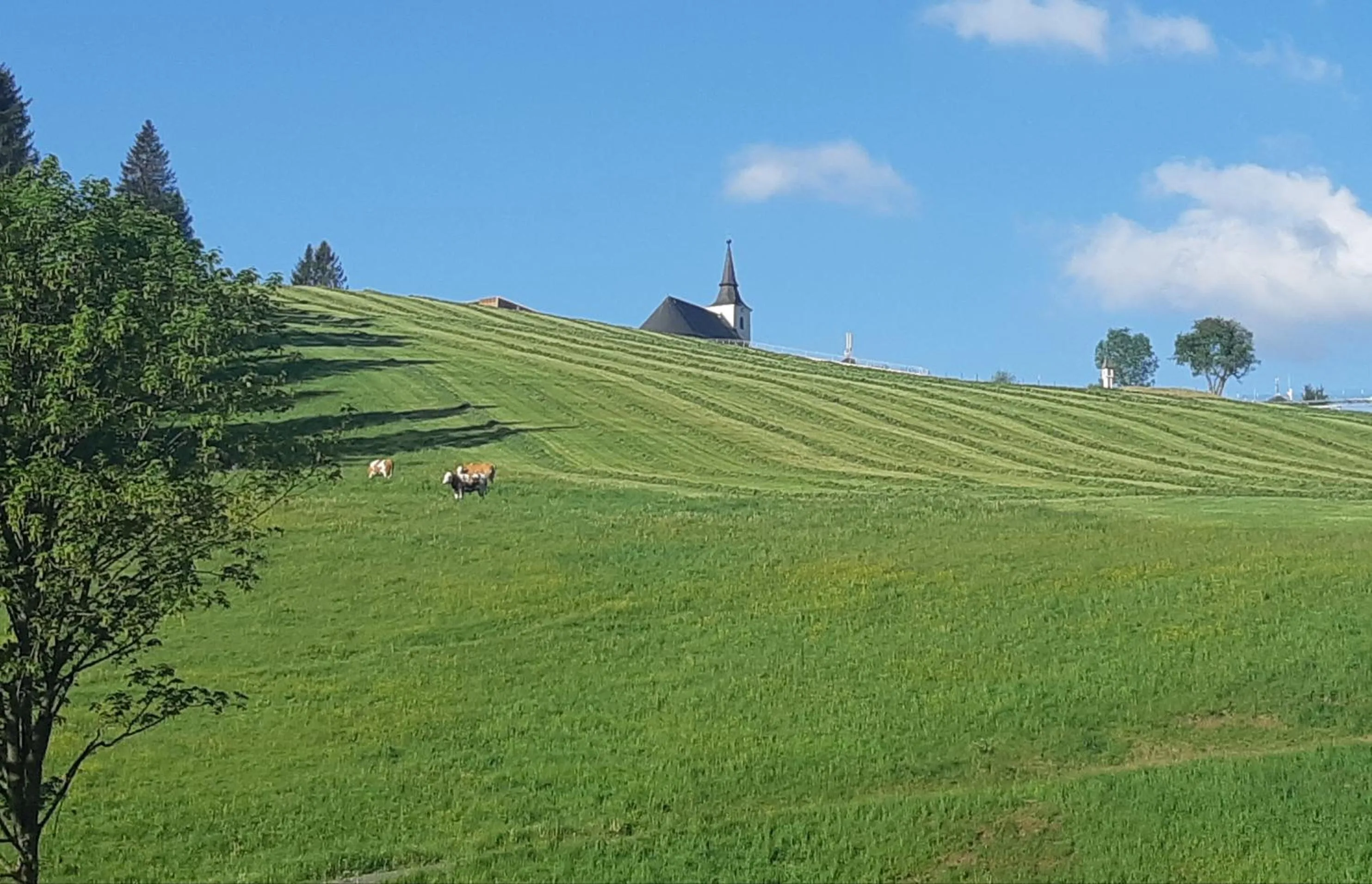 Natural landscape in Gasthof Klug zum Ehrensepp