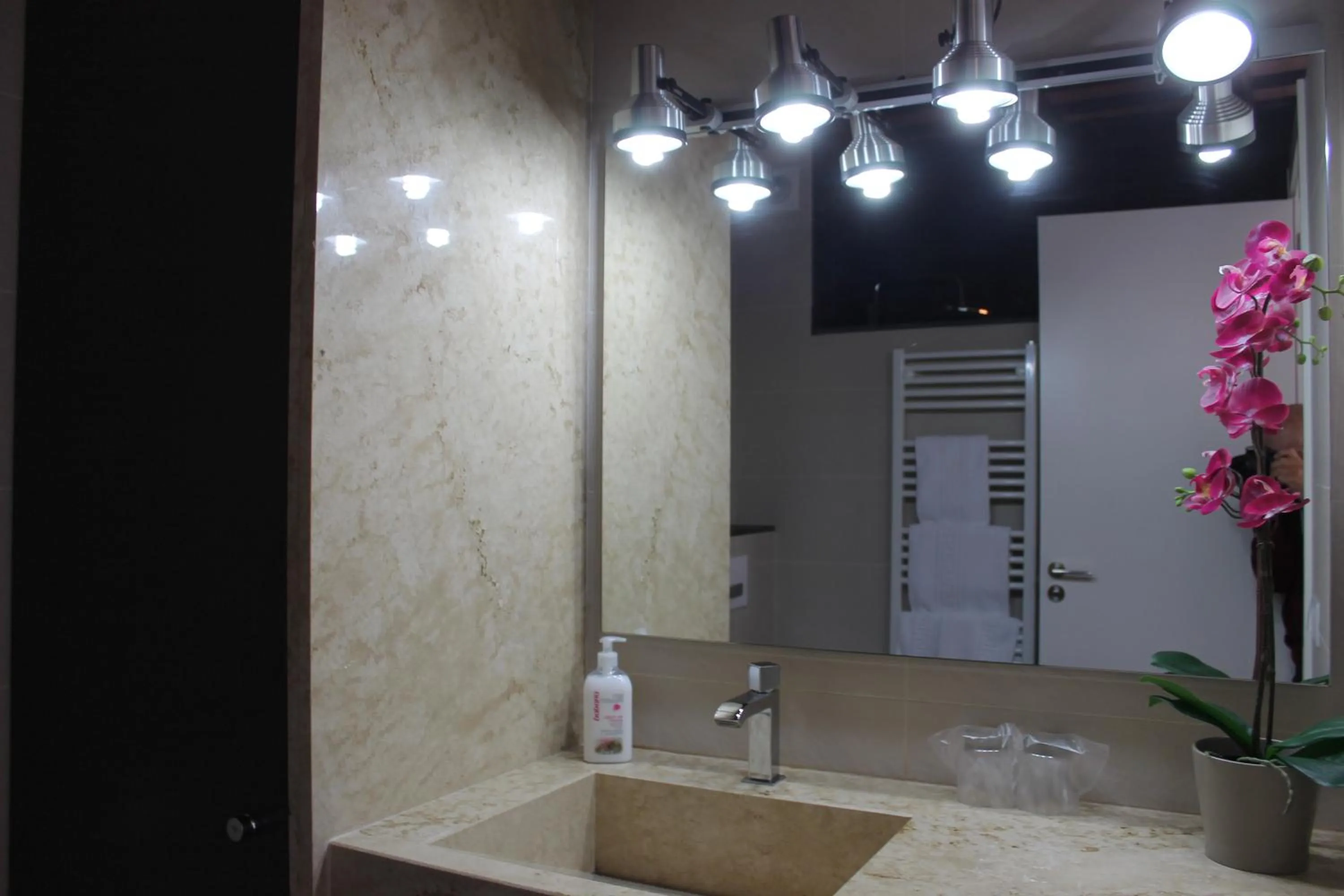 Decorative detail in Apartaments y Habitacions Entre Volcans