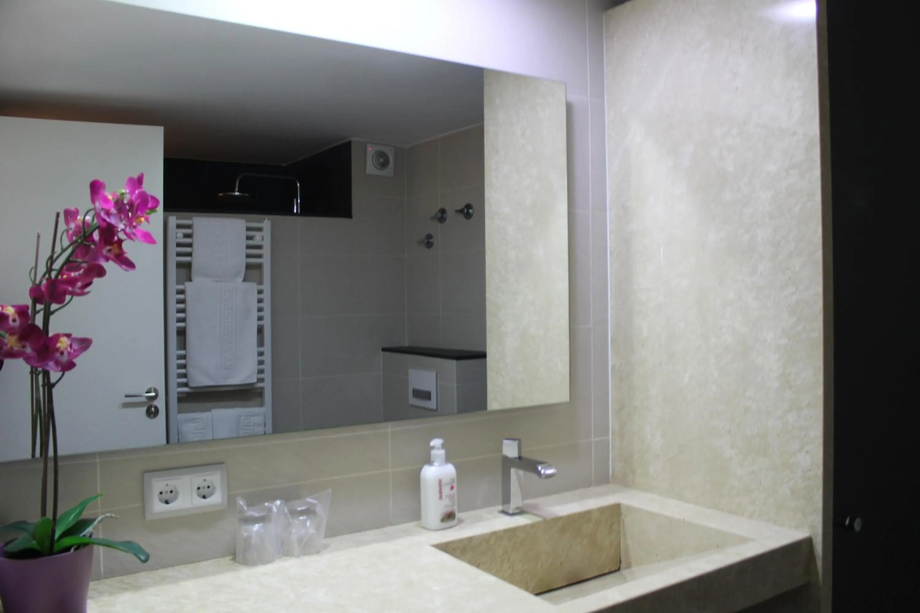 Decorative detail in Apartaments y Habitacions Entre Volcans