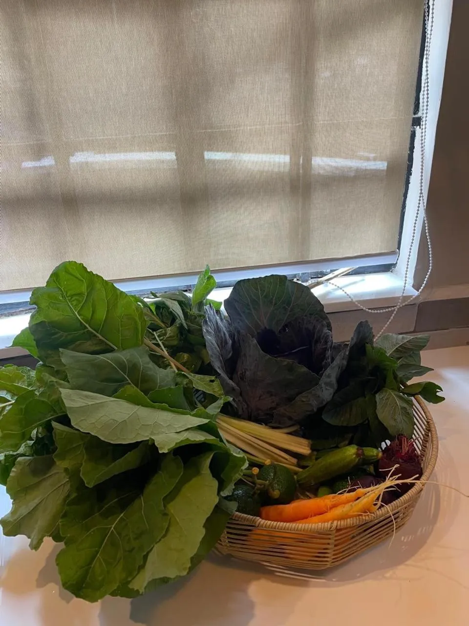 Garden in Thayu House