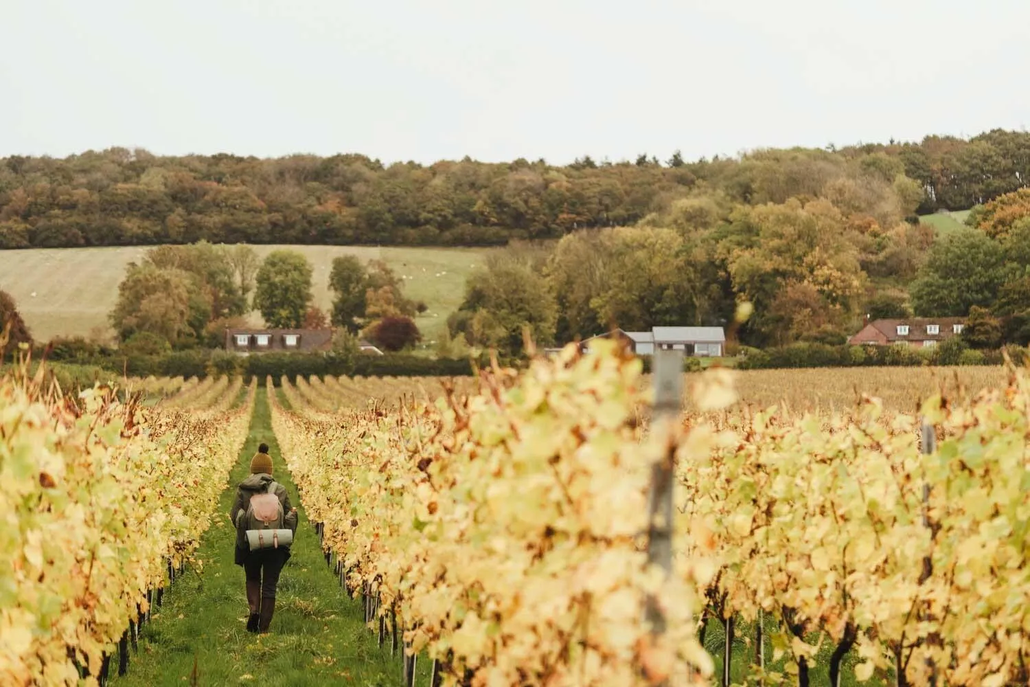 Other in The Five Bells Inn