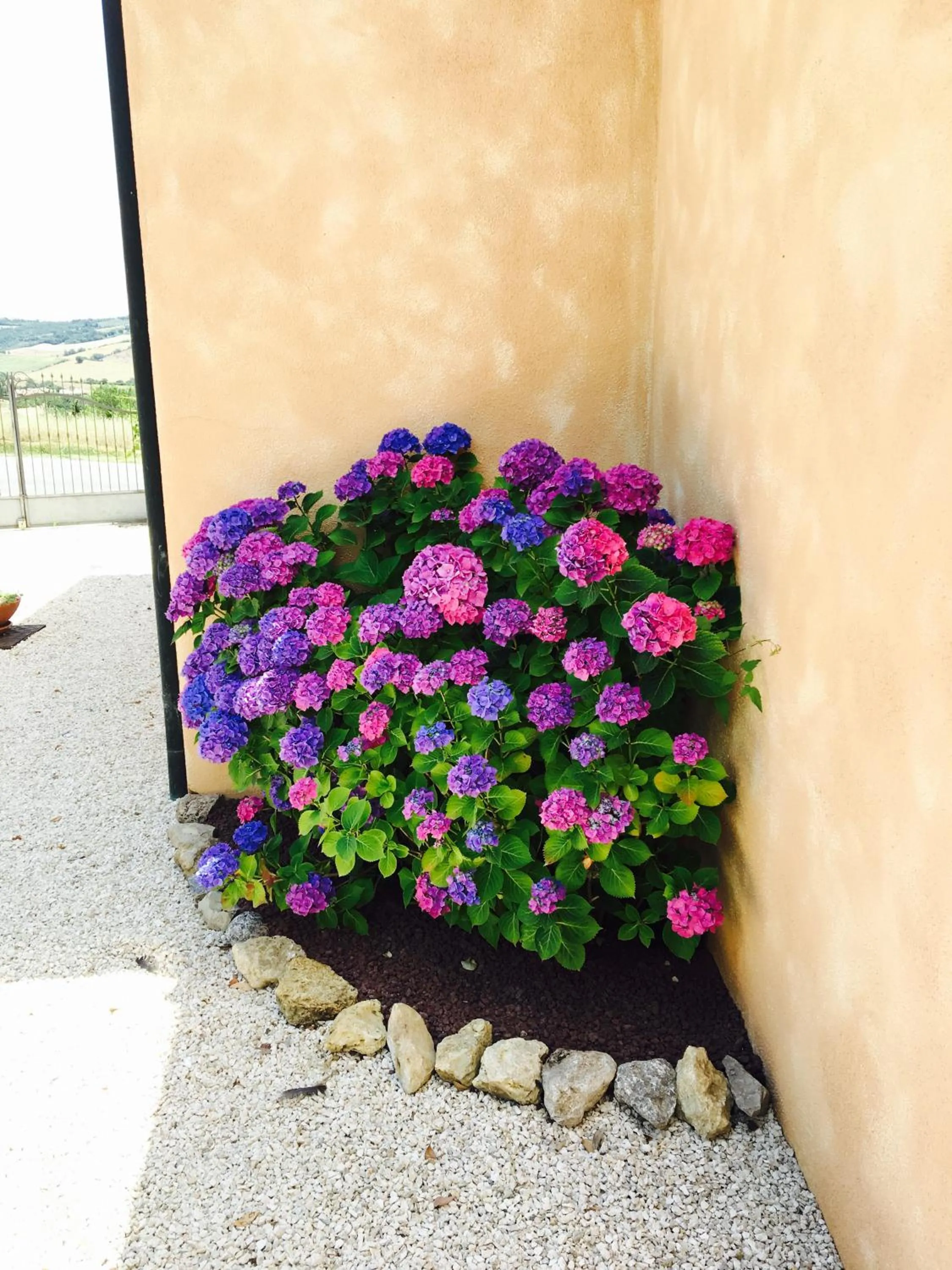 Decorative detail in B&B 8380 Saturnia Terme