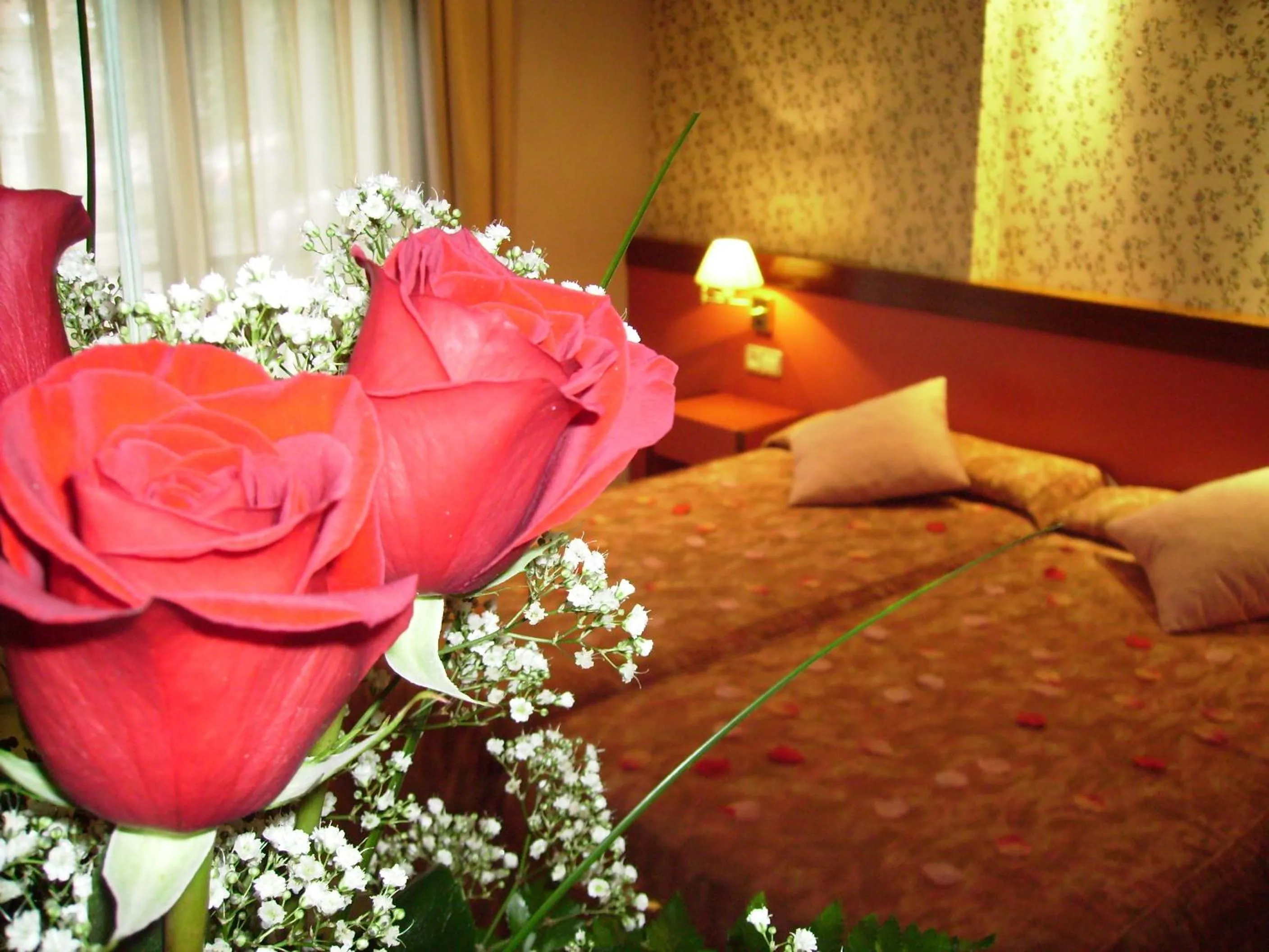 Other, Bed in Hotel Jardín de Aranjuez