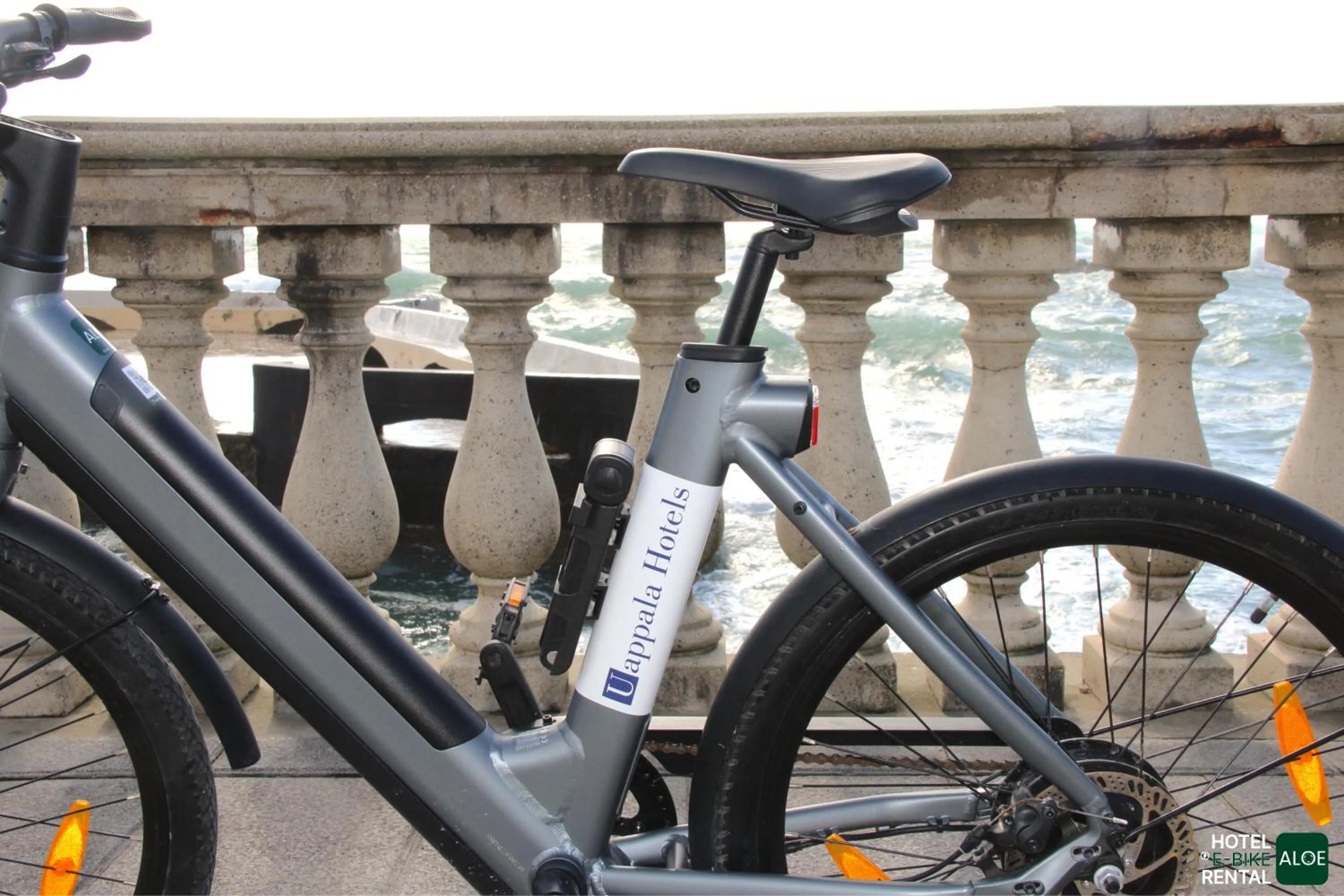 Area and facilities in Grand Hotel Palazzo Livorno MGallery Collection