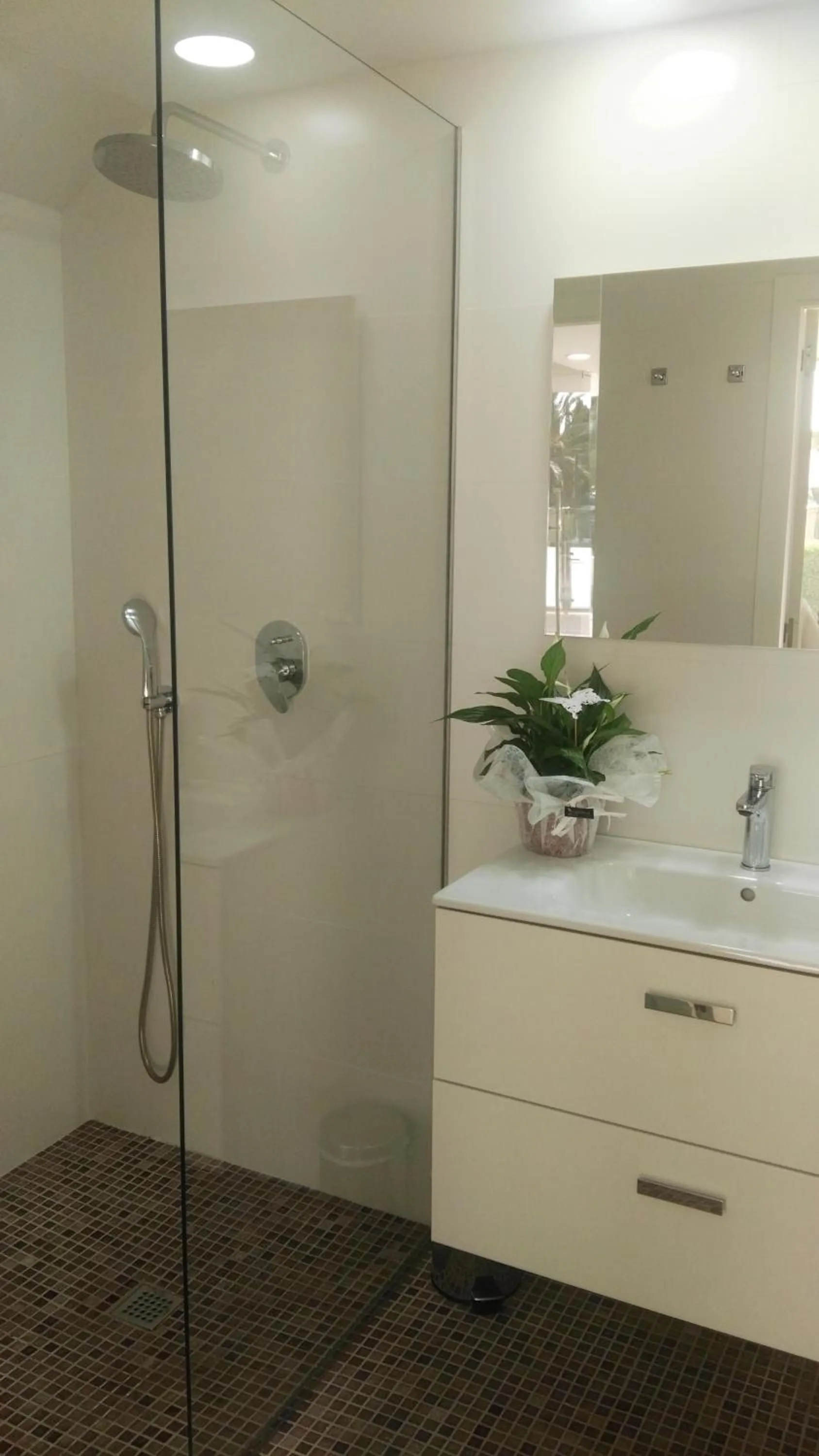 Shower in Apartaments Ses Dàlies