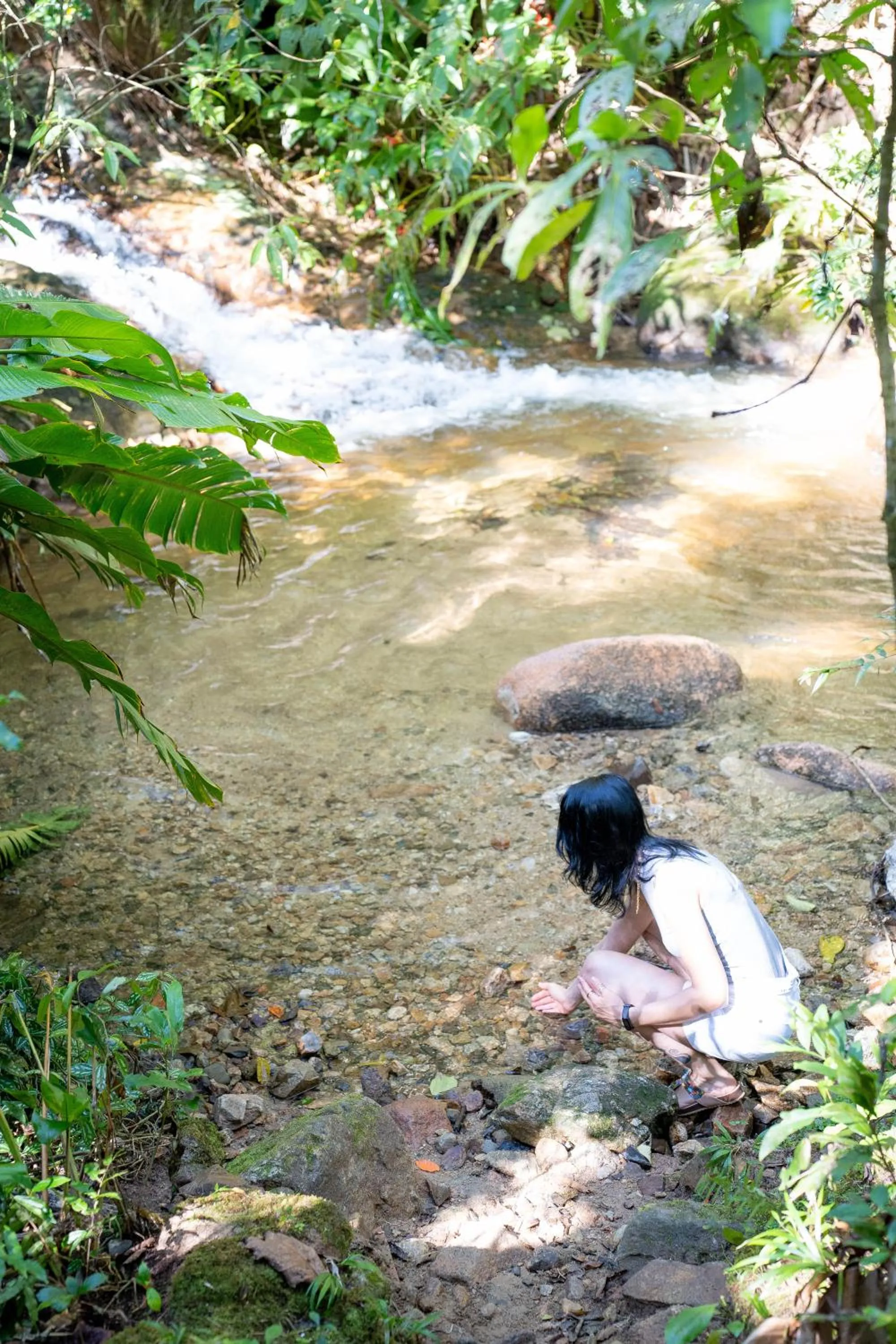 Spring in Plaza Caldas da Imperatriz Resort & Spa
