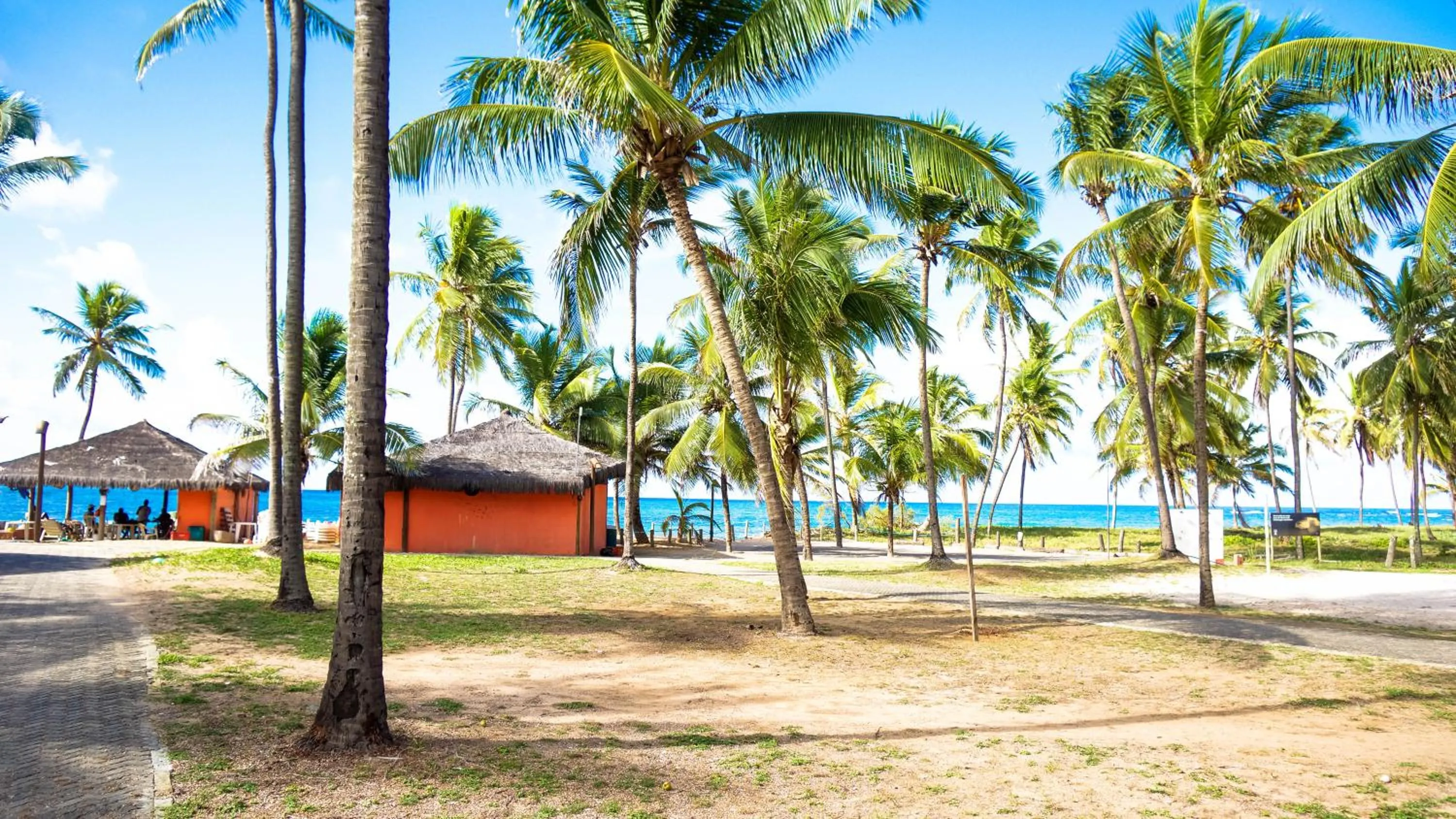 Beach in Bahia Plaza Hotel