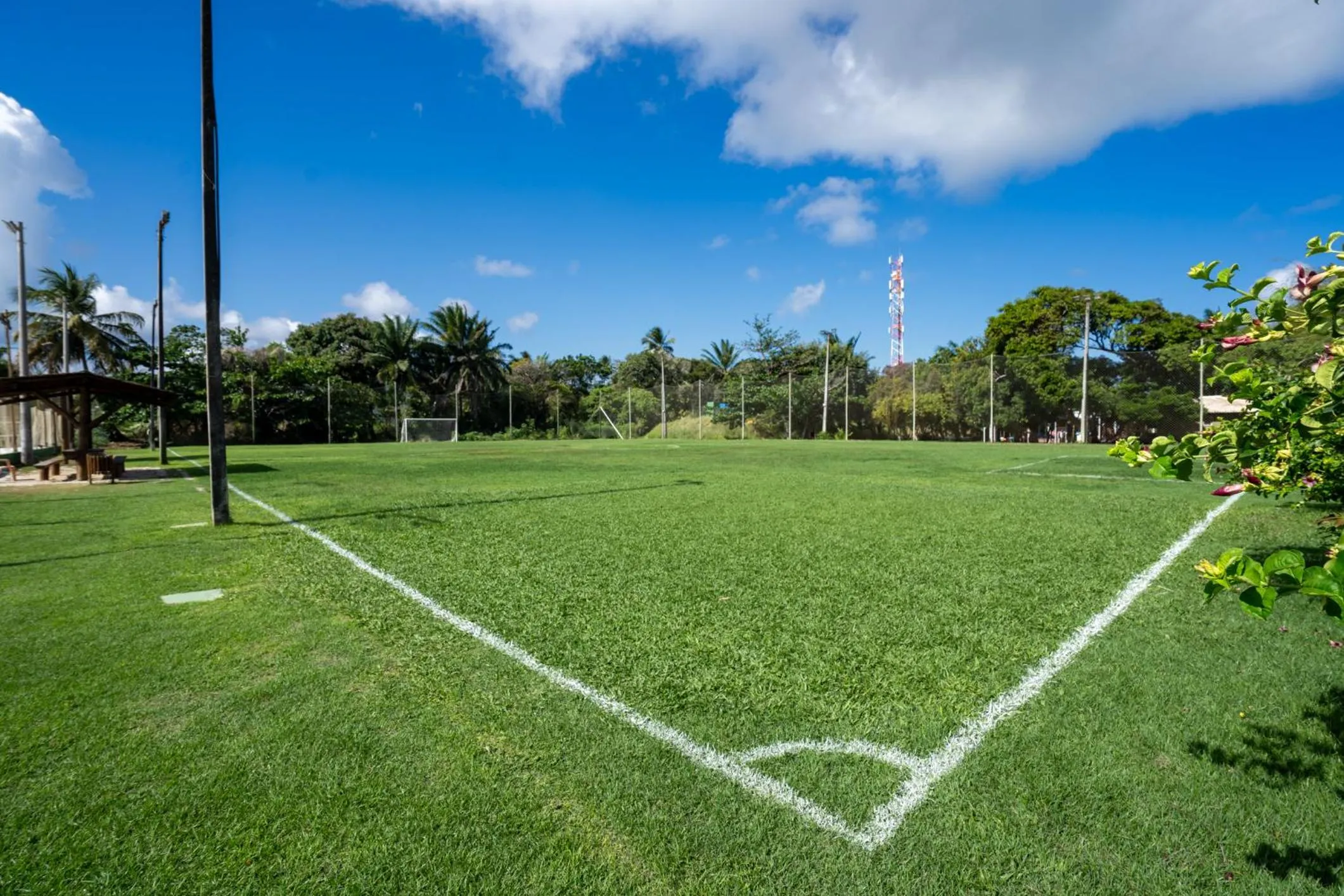 Sports in Bahia Plaza Hotel