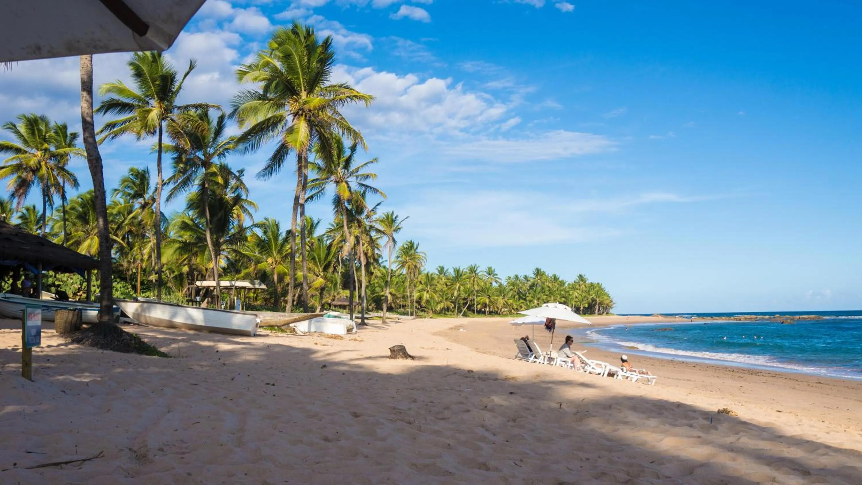 Beach in Bahia Plaza Hotel