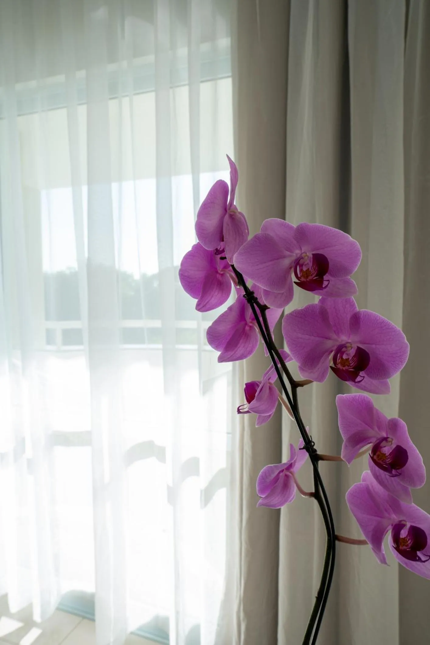 Decorative detail in Bahia Plaza Hotel