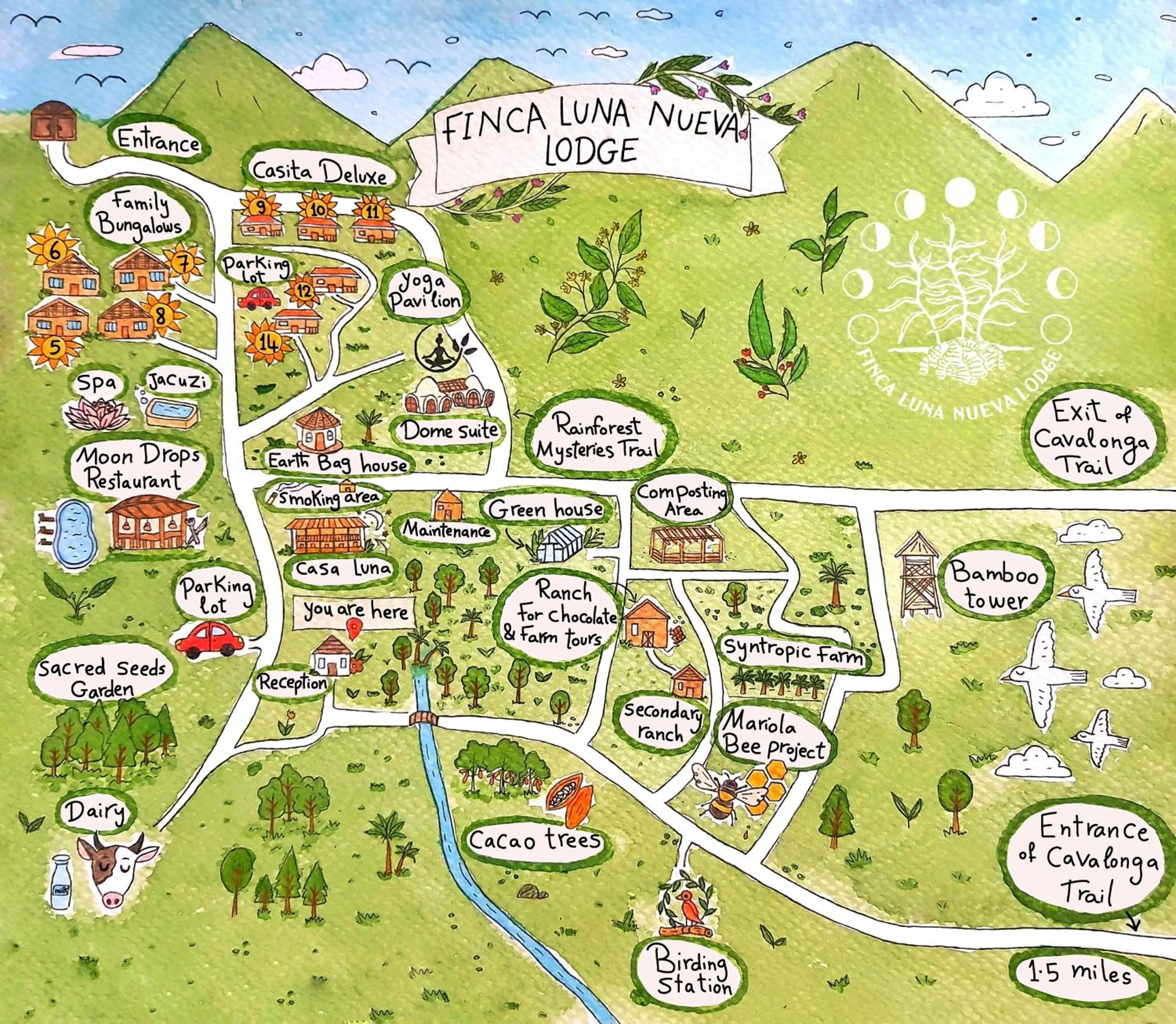 Bird's eye view in Finca Luna Nueva Lodge